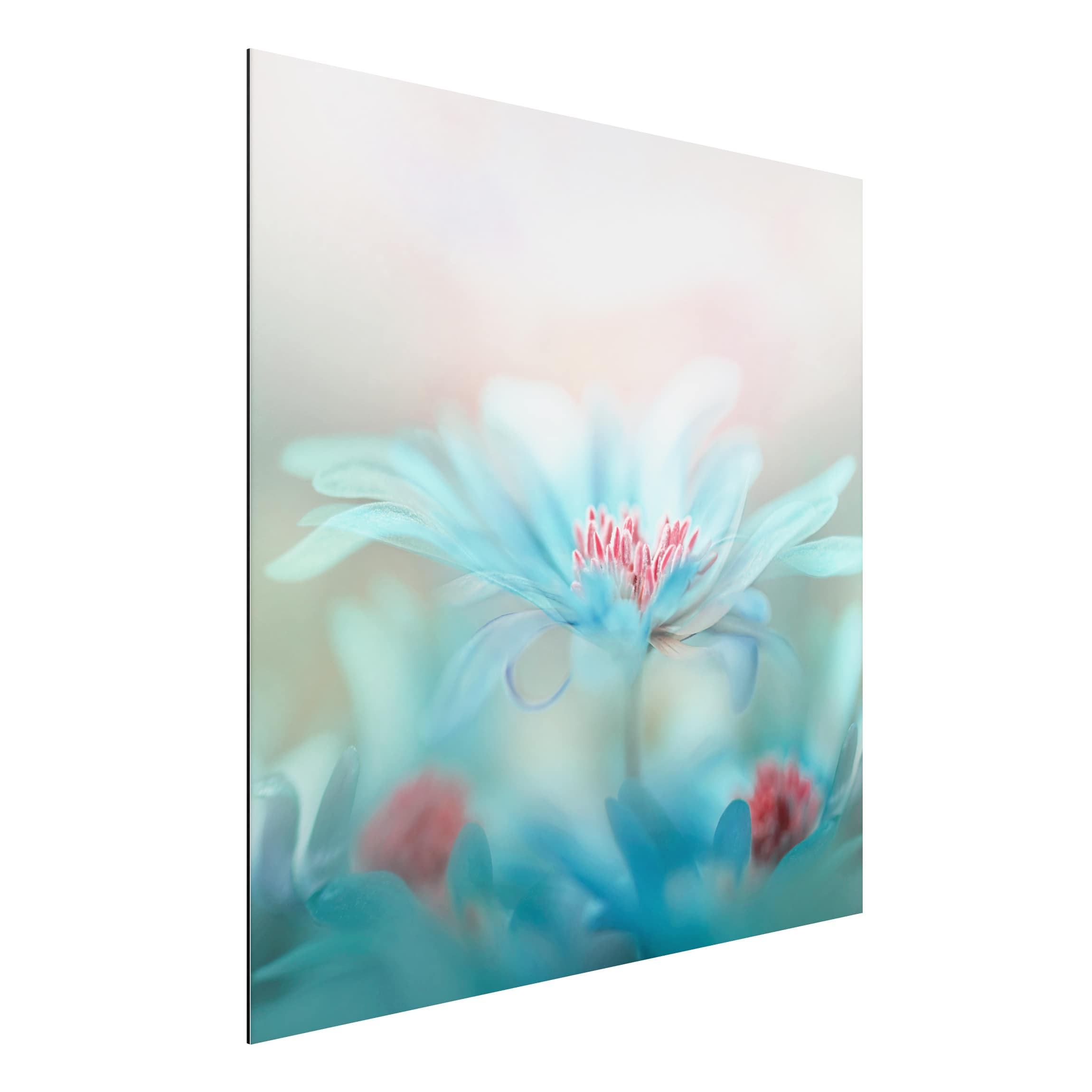 Alu-Dibond Outdoor Bild Zarte Blüten in Pastell