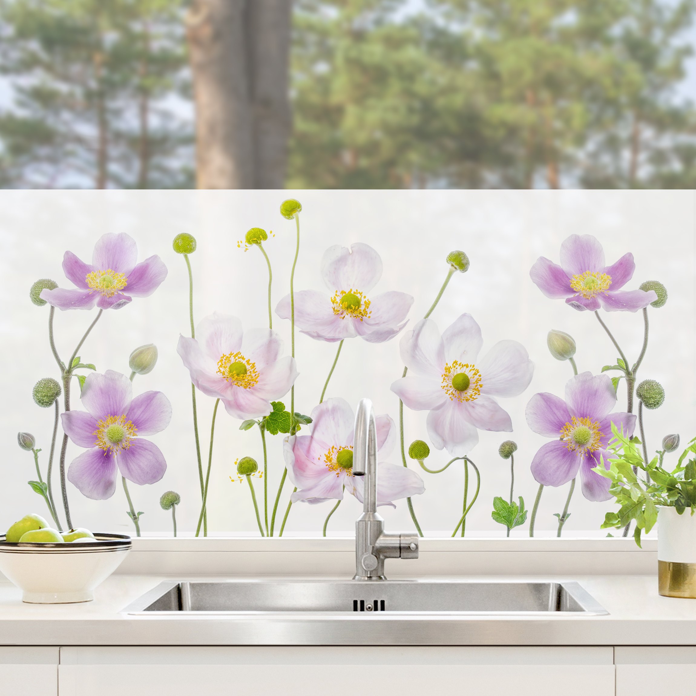 Fensterfolie Anemonen Mix