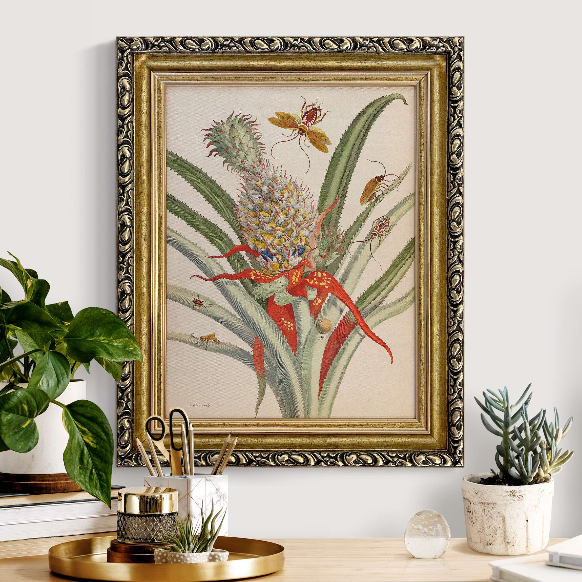 Leinwandbild mit Barockrahmen Anna Maria Sibylla Merian - Ananas mit Insekten