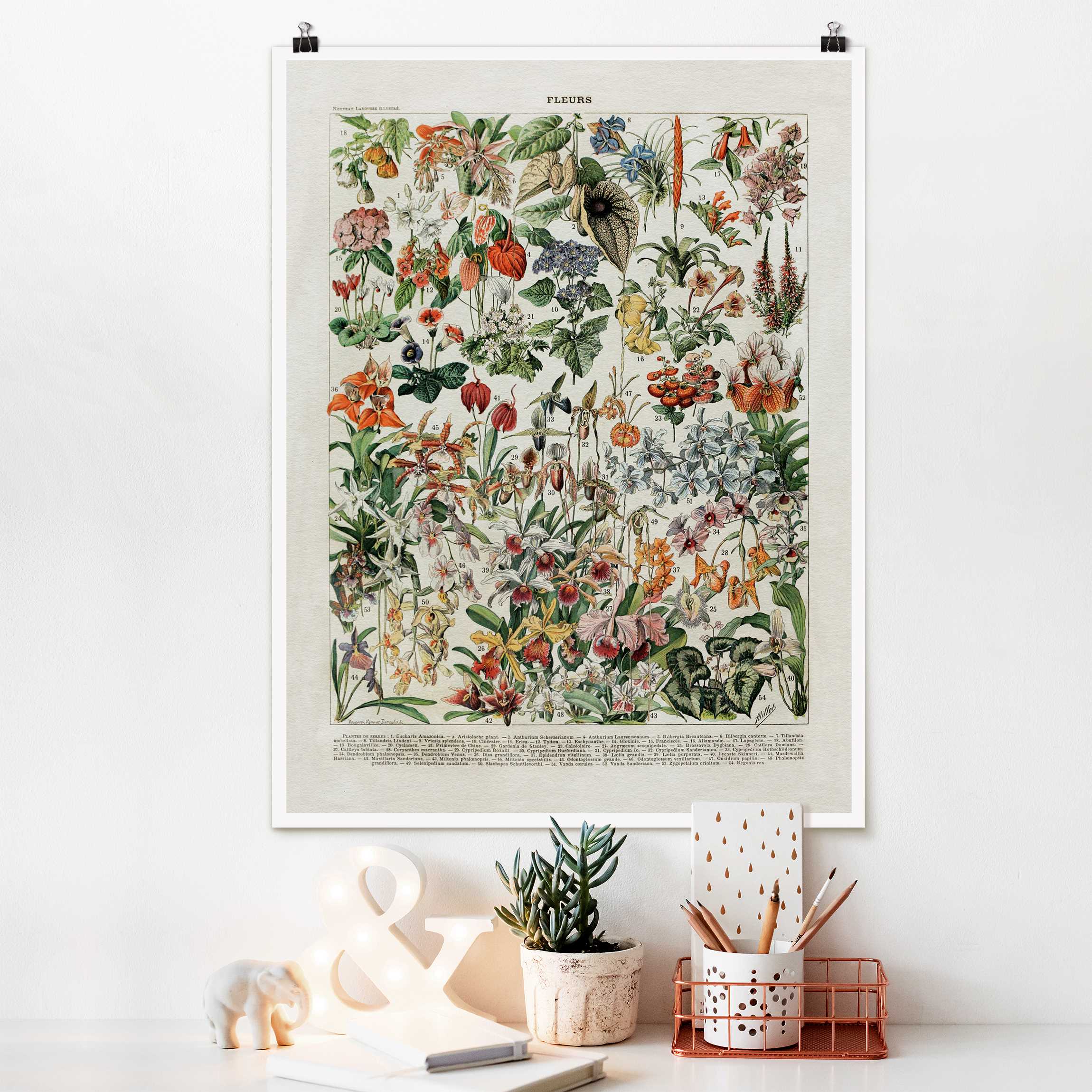 Poster Vintage Lehrtafel Blumen III