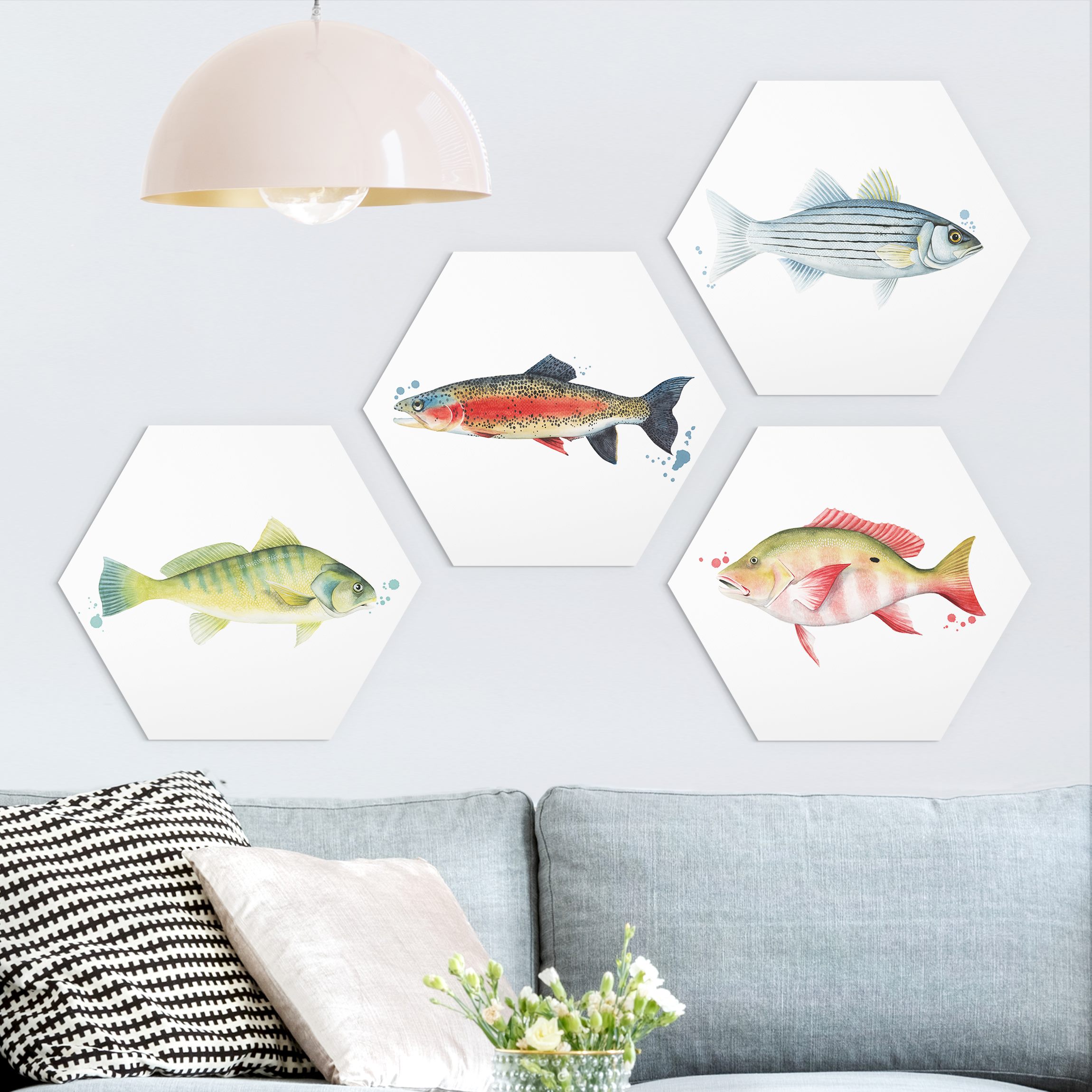 4-teiliges Hexagon-Forexbild Farbfang - Fische Set I