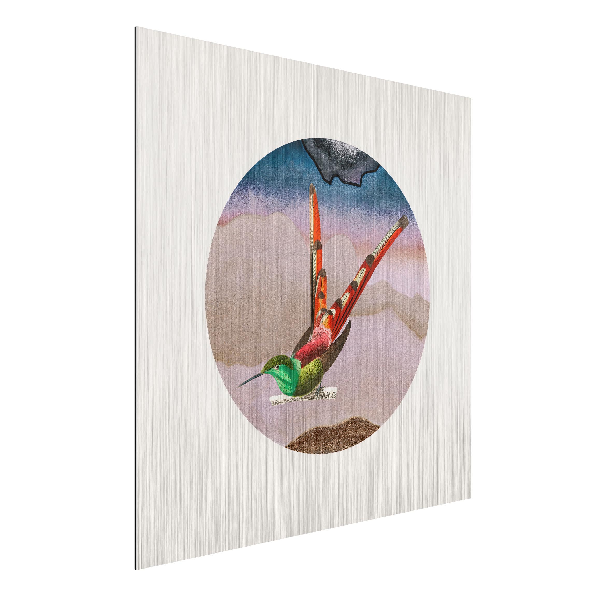 Alu-Dibond Outdoor Bild Vogel Collage im Kreis