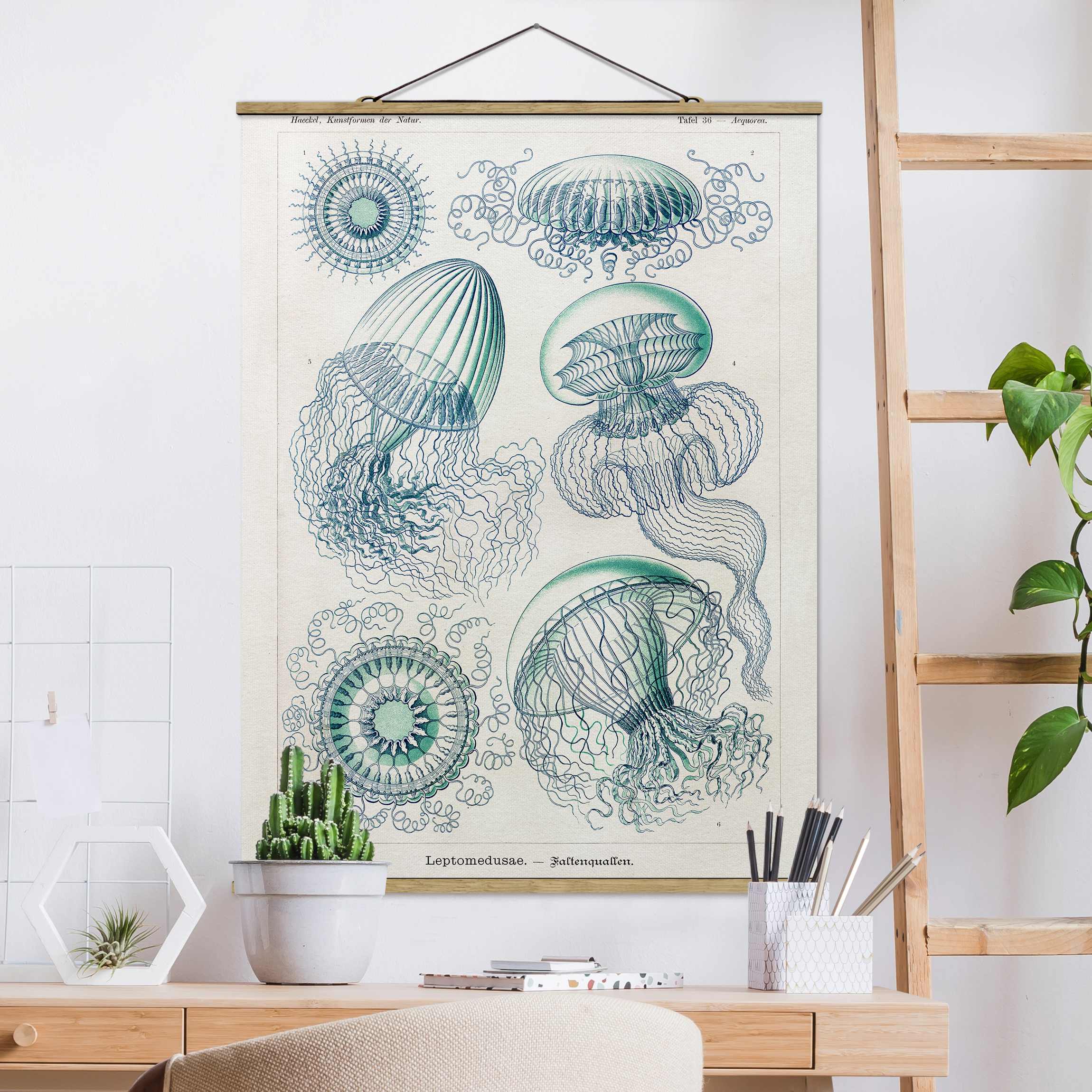 Stoffbild mit Posterleisten Vintage Lehrtafel Quallen in Blau