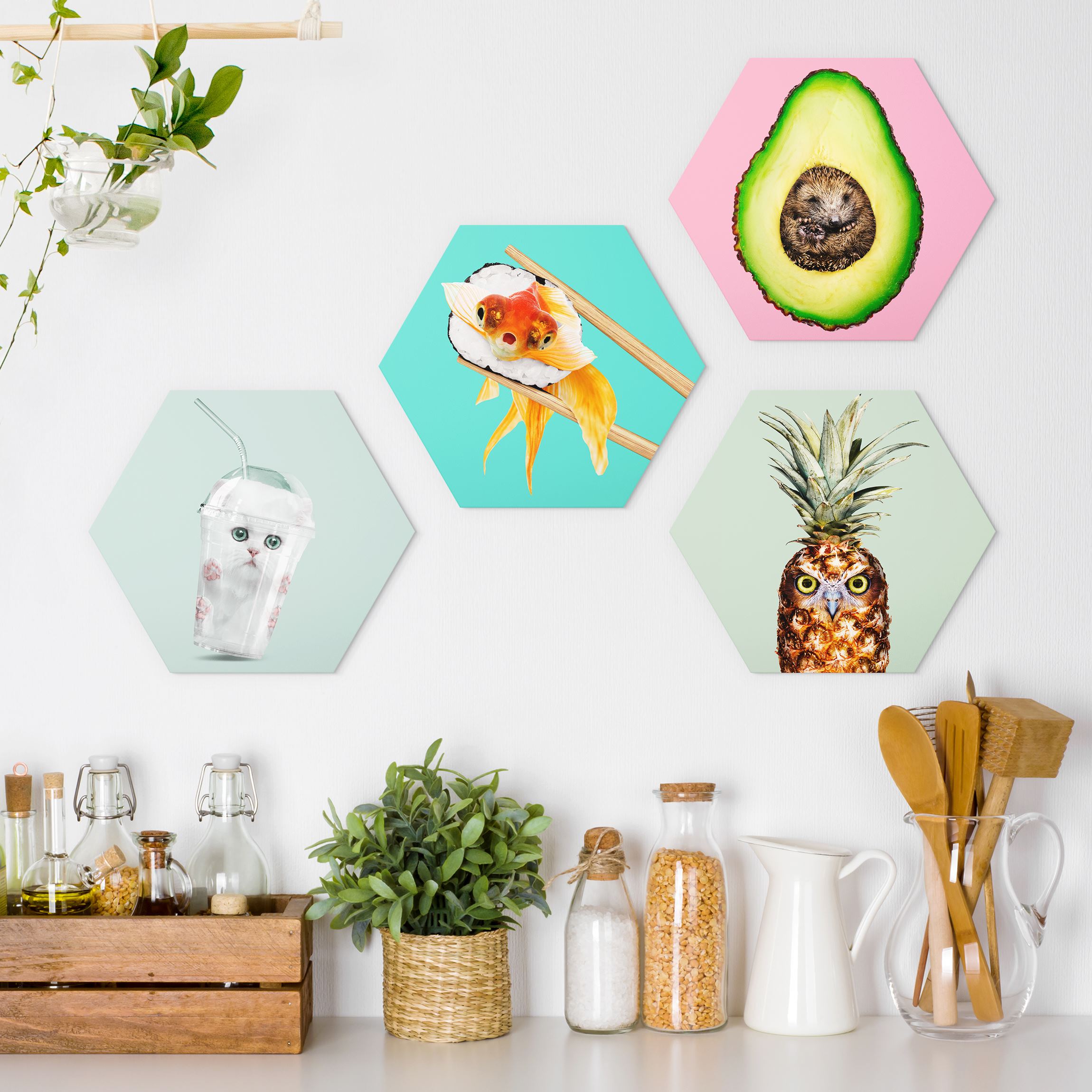 4-teiliges Hexagon-Alu-Dibond Bild Lustige Tiergeschichten