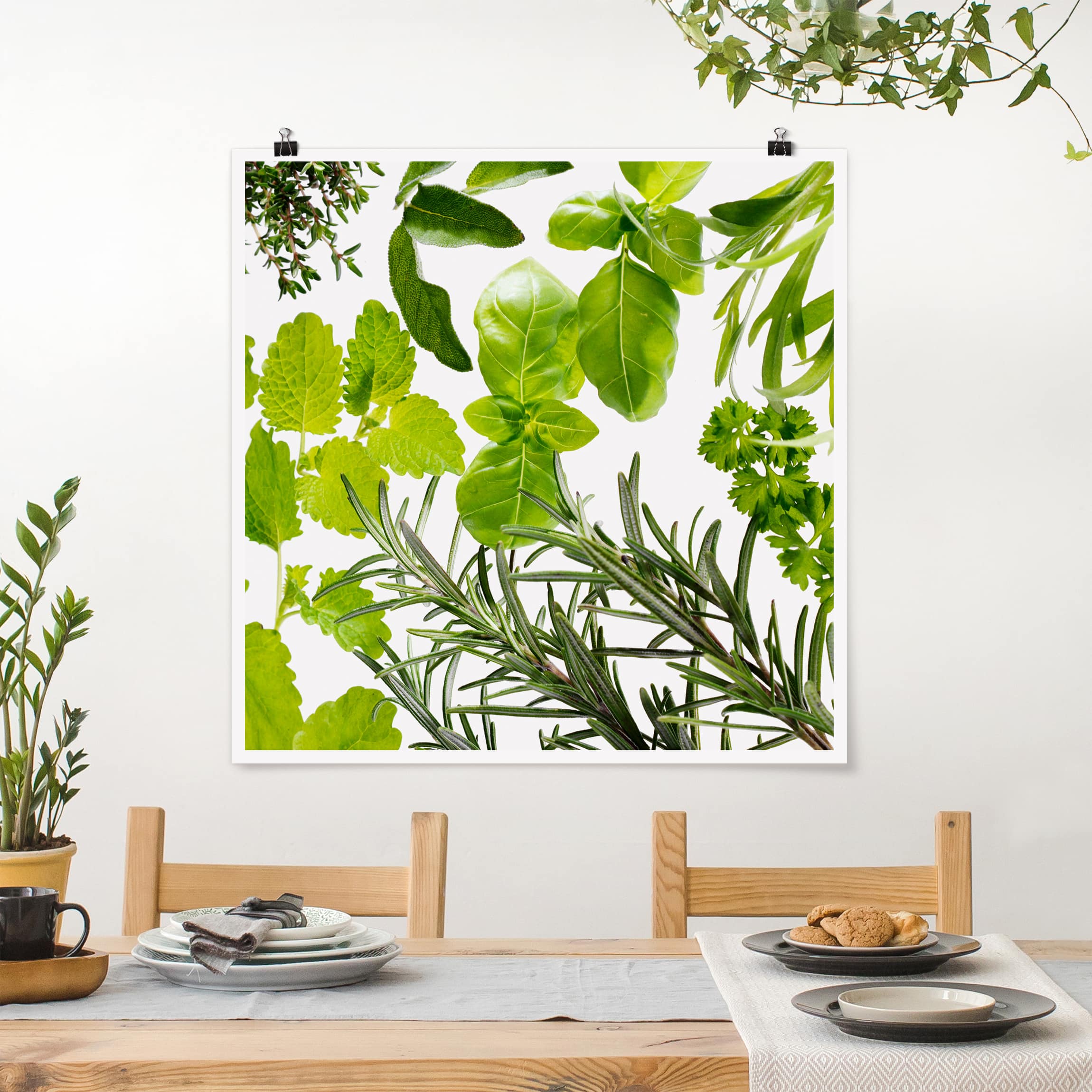 Poster - Quadrat Verschiedene Kräuter