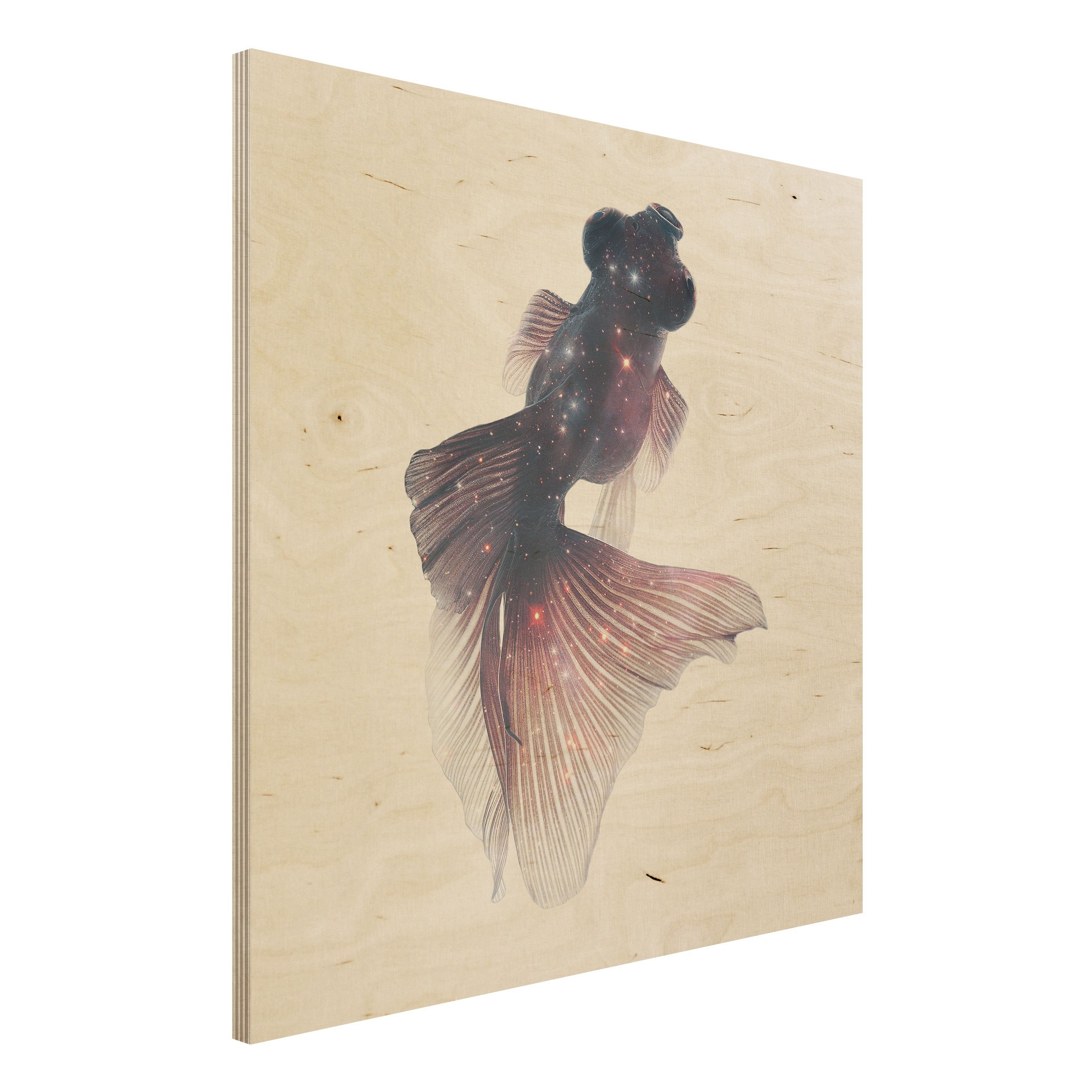 Holzbild Fisch mit Galaxie
