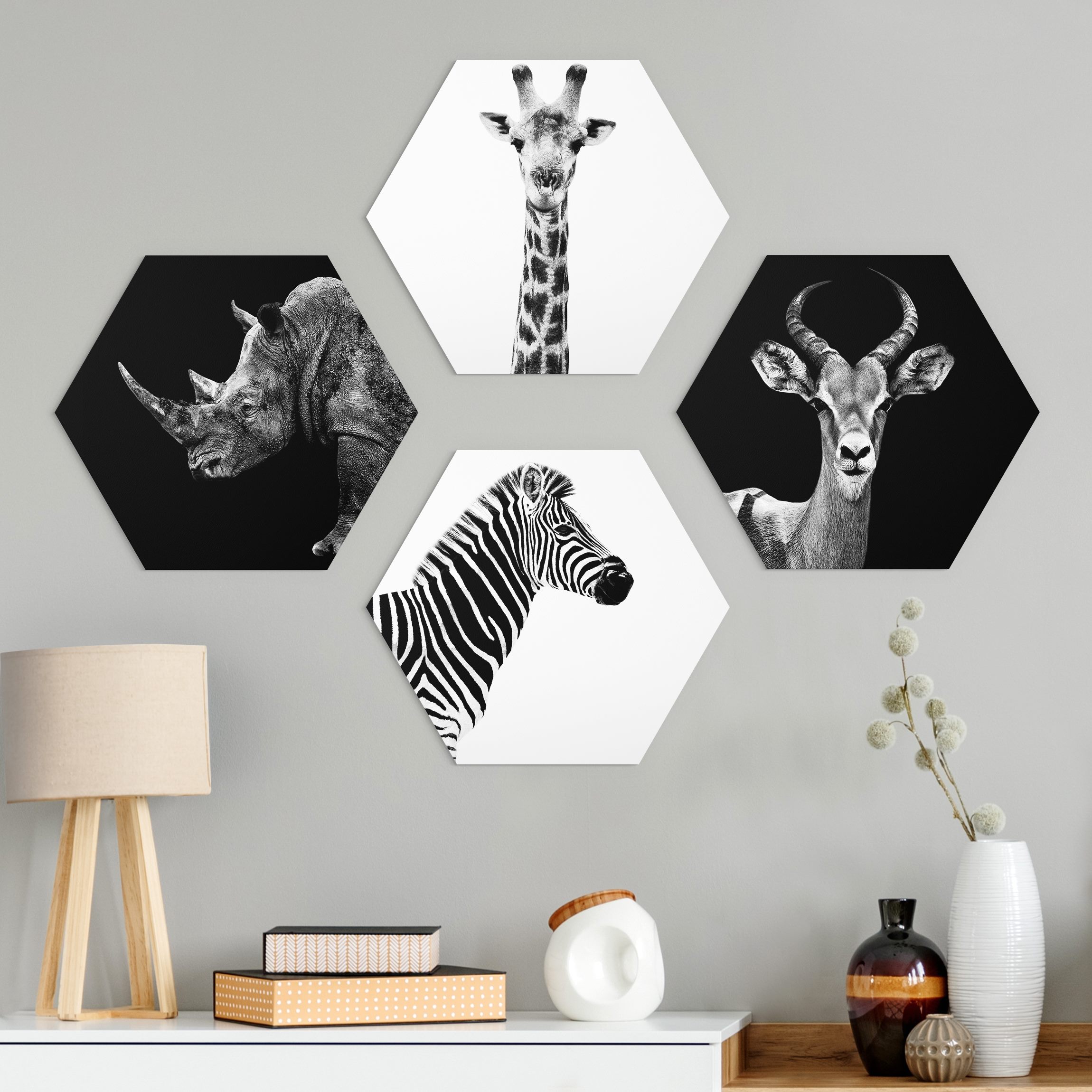 4-teiliges Hexagon-Alu-Dibond Bild Safari Quartett