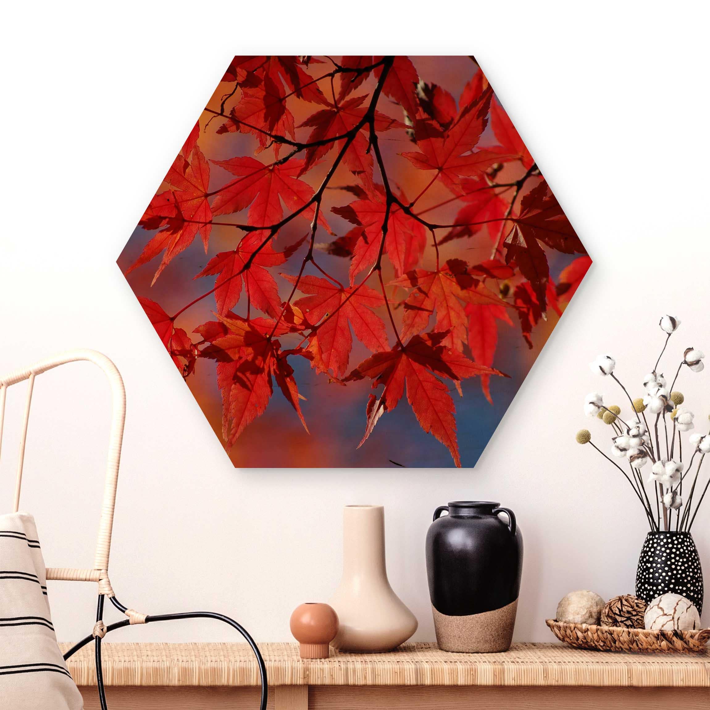 Hexagon-Holzbild Red Maple