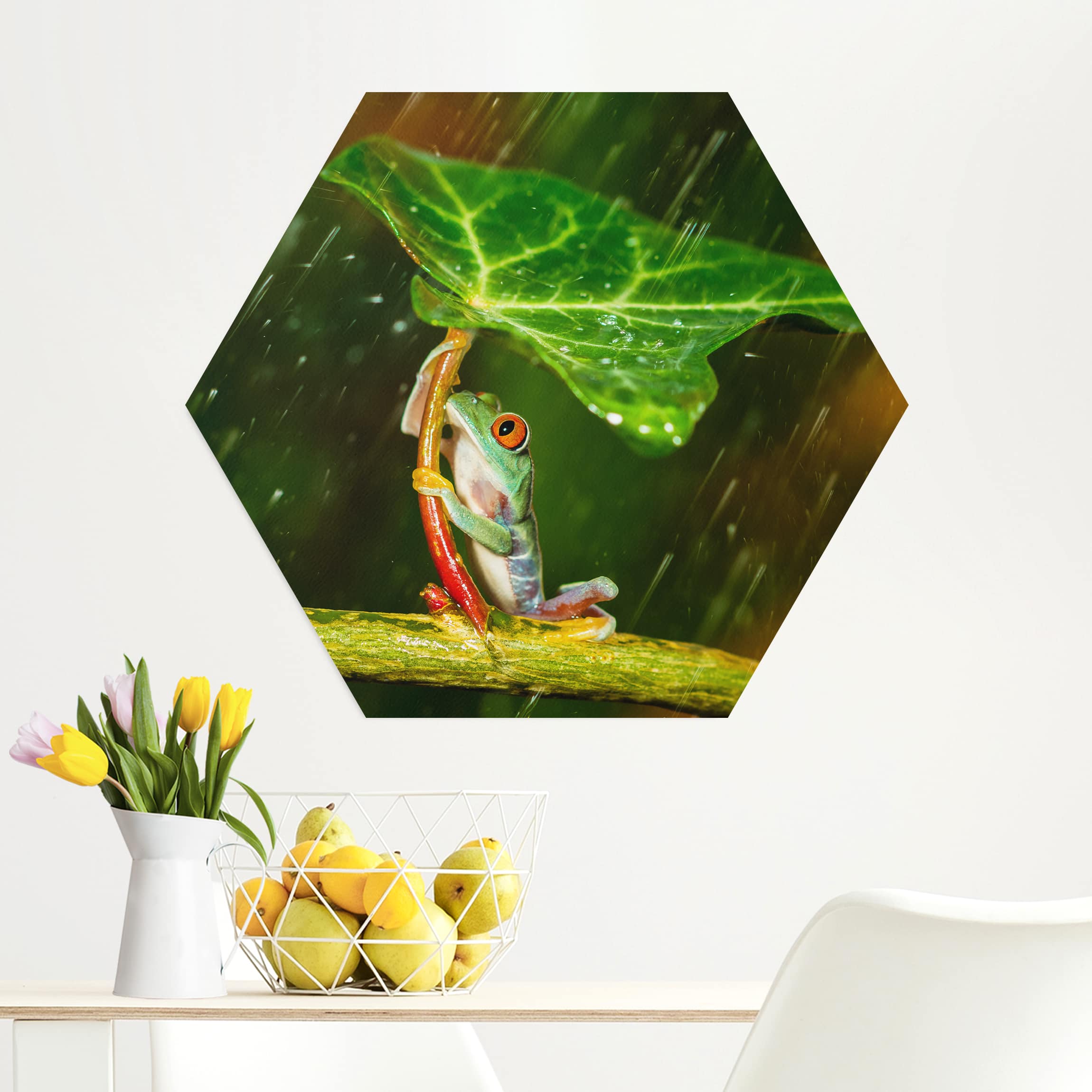 Hexagon-Alu-Dibond Bild Ein Frosch im Regen