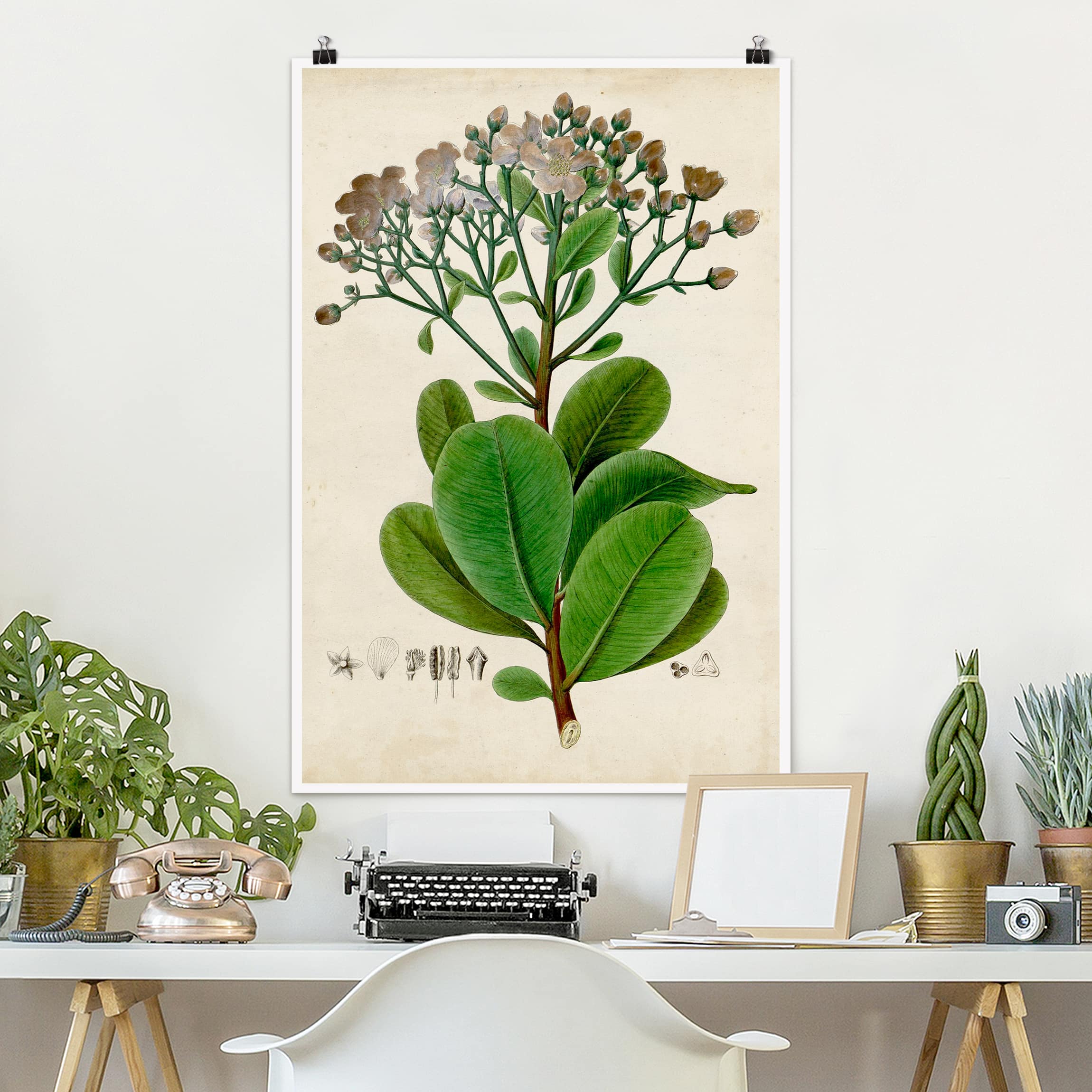 Poster - Hochformat Laubbaum Schautafel VIII