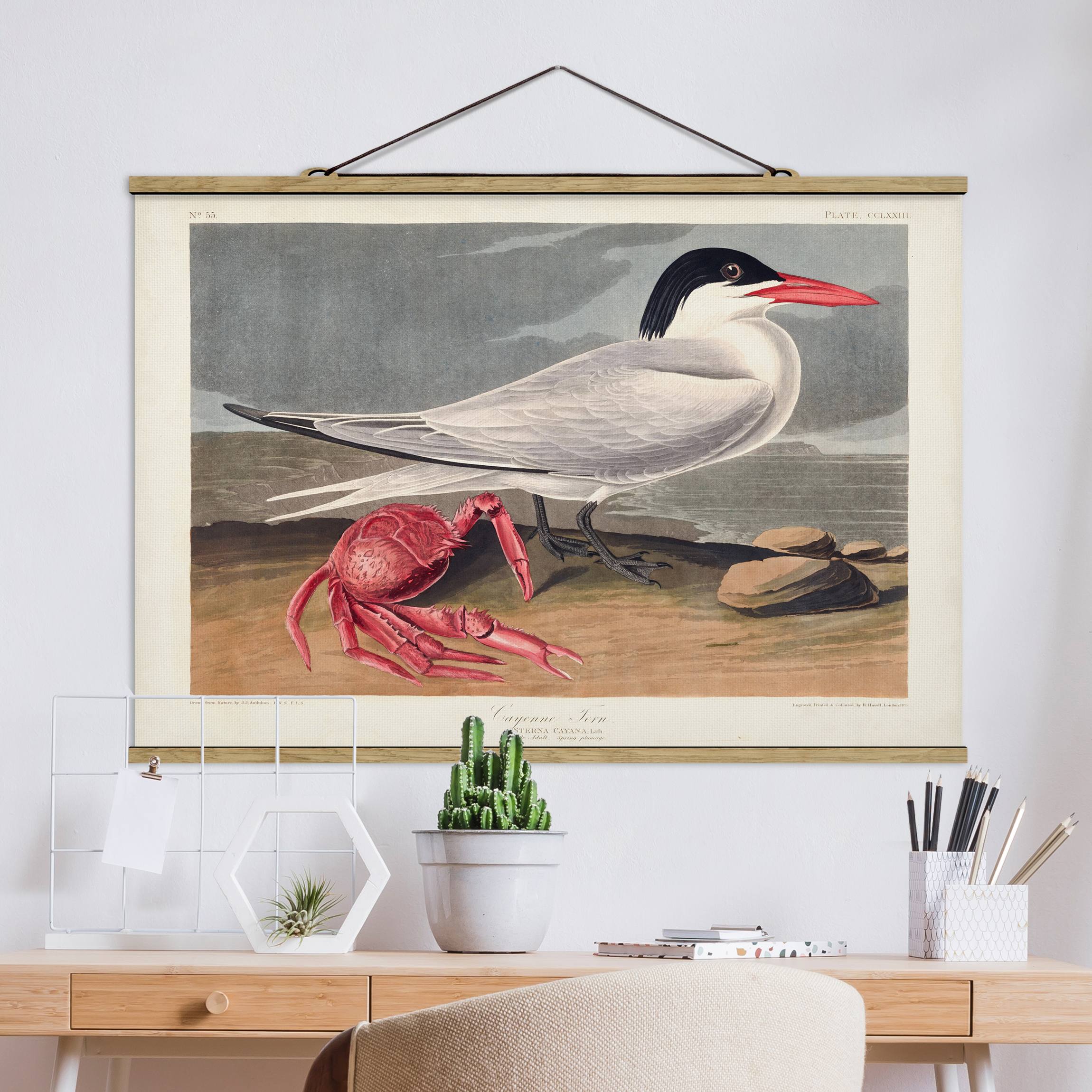 Stoffbild mit Posterleisten Vintage Lehrtafel Brandseeschwalbe