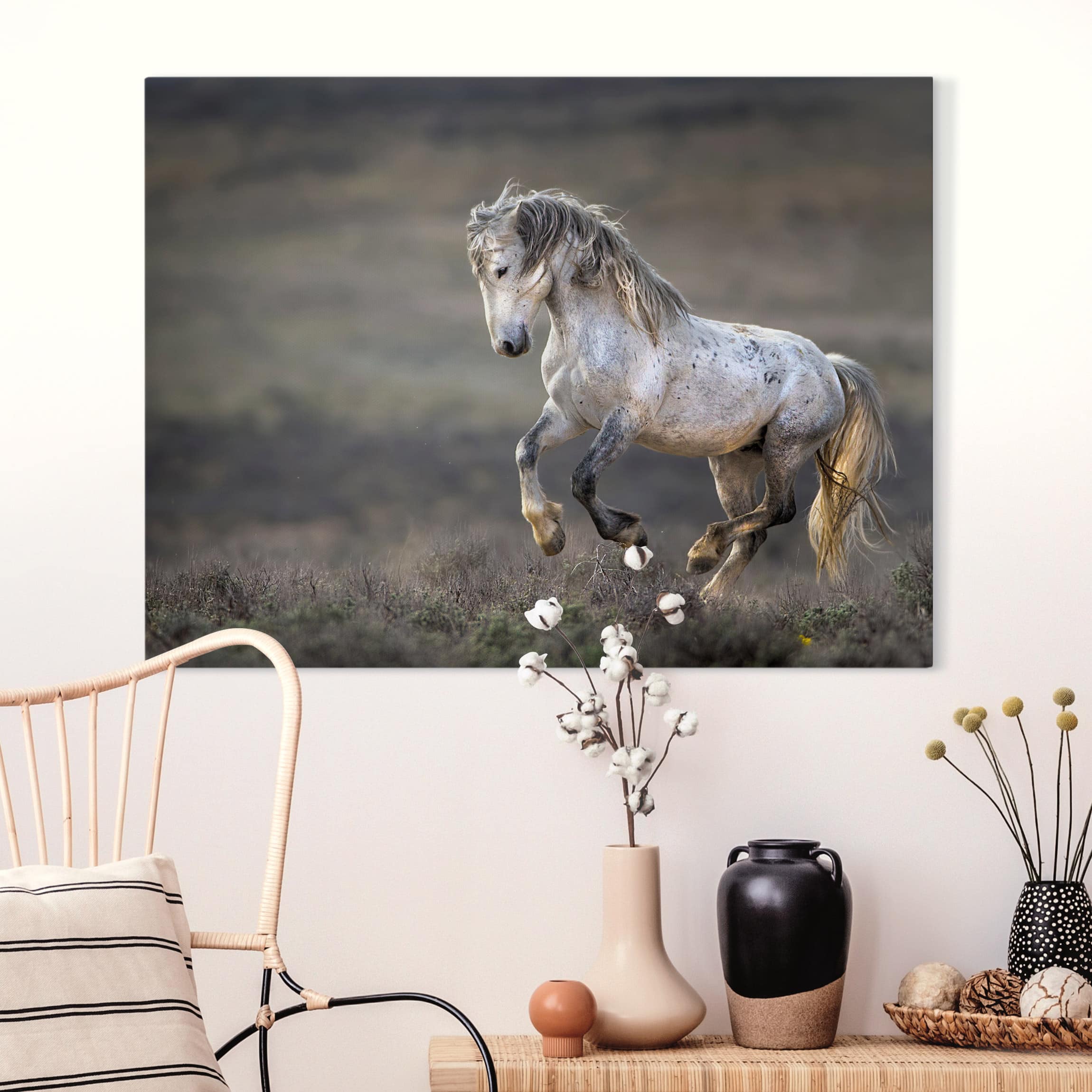 Leinwandbild Pferd Im Galopp durch die Heide