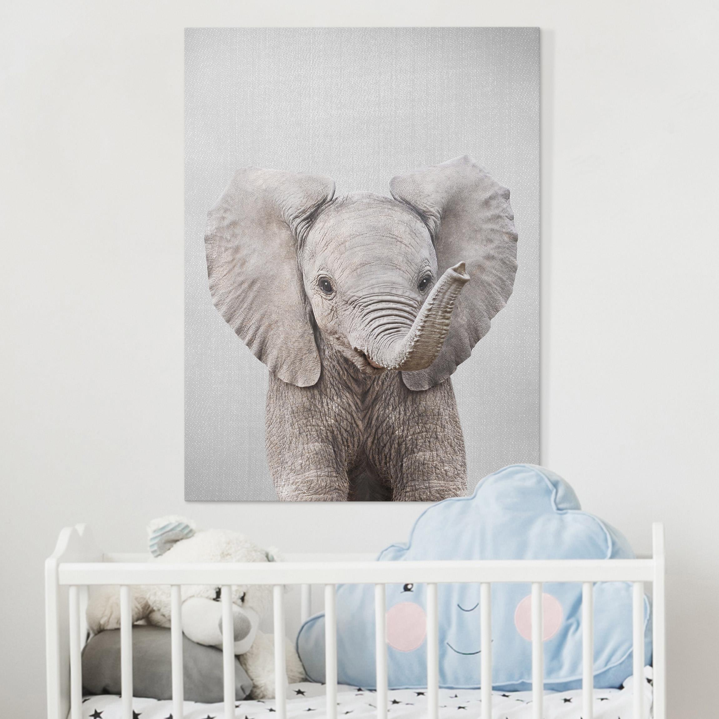 Leinwandbild Baby Elefant Elsa