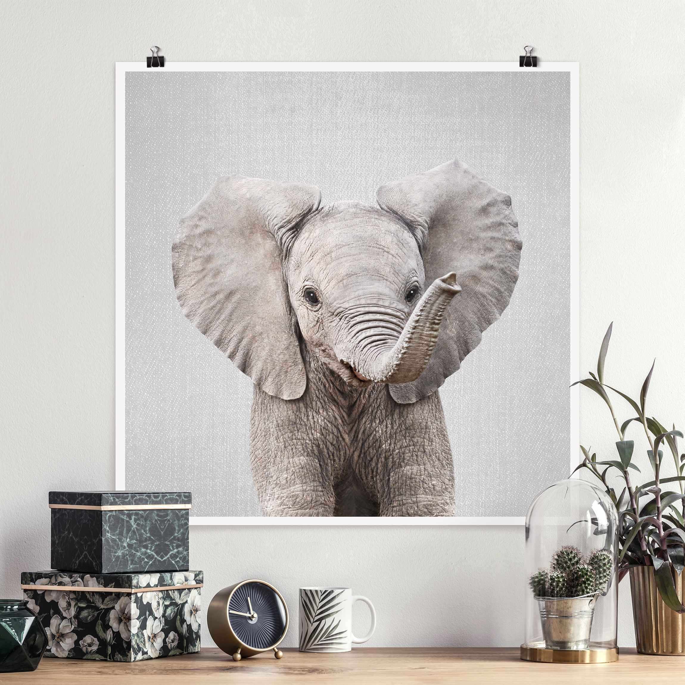 Poster Baby Elefant Elsa