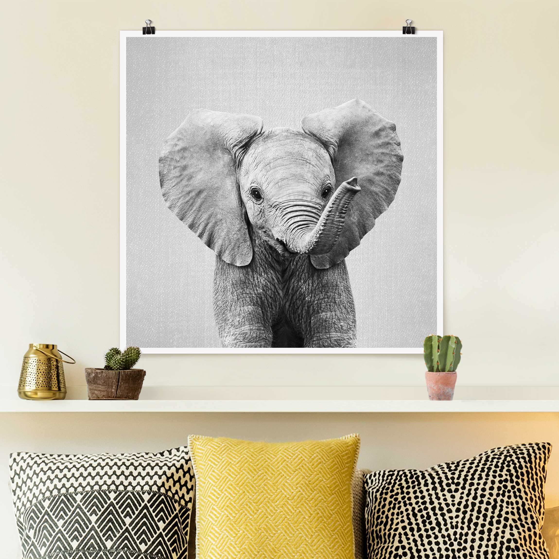 Poster Baby Elefant Elsa Schwarz Weiß