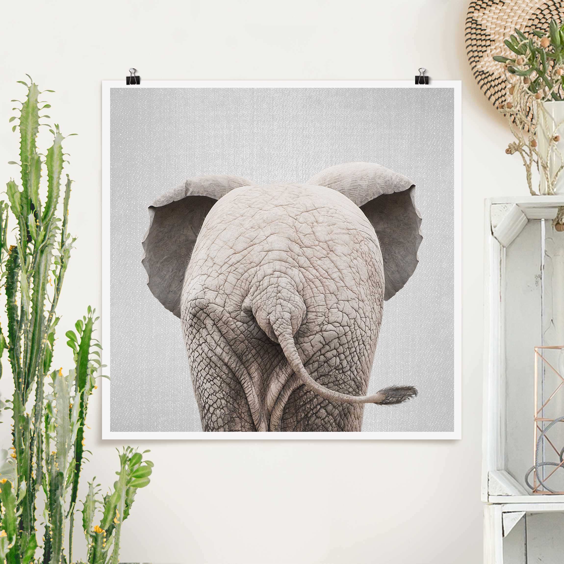 Poster Baby Elefant von hinten