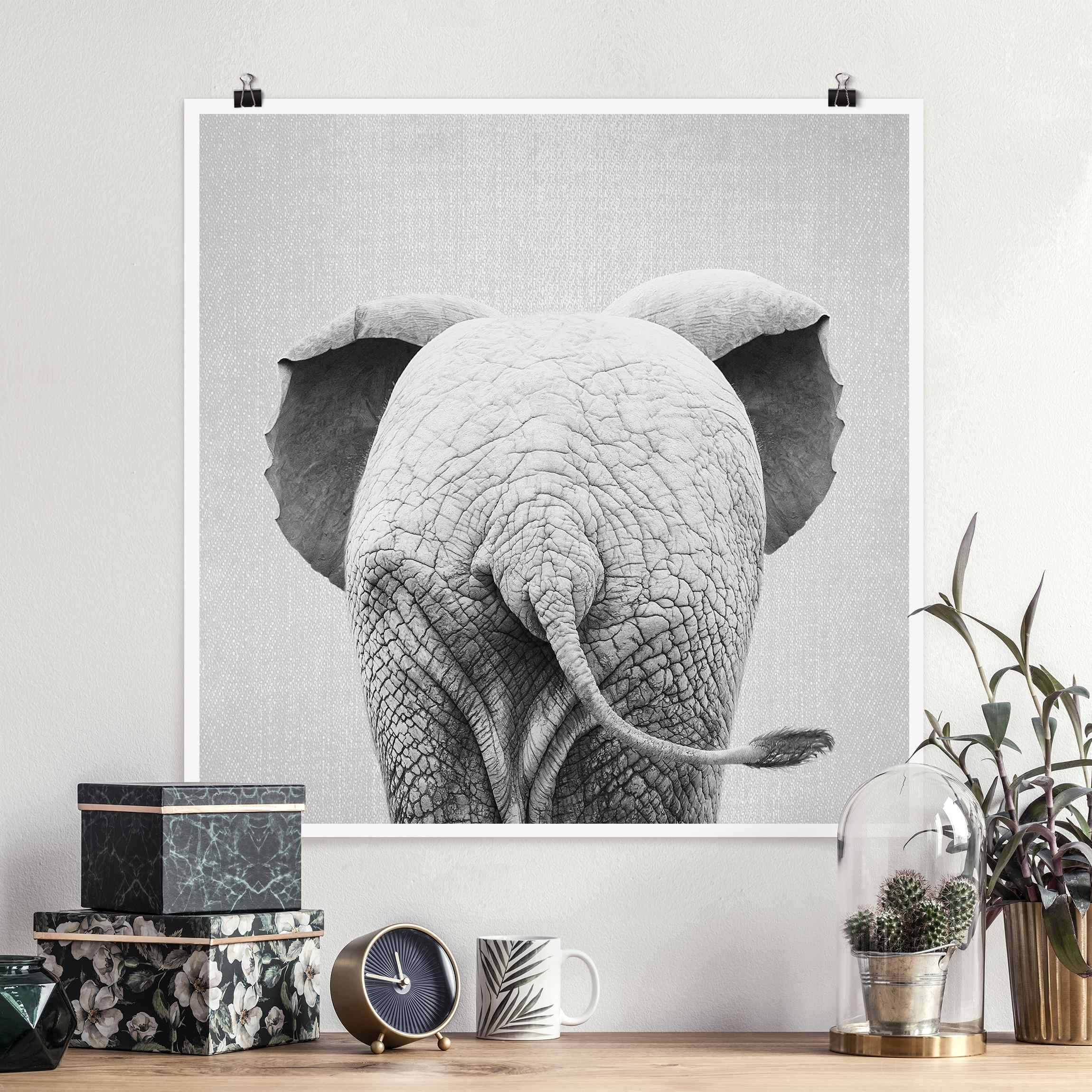 Poster Baby Elefant von hinten Schwarz Weiß