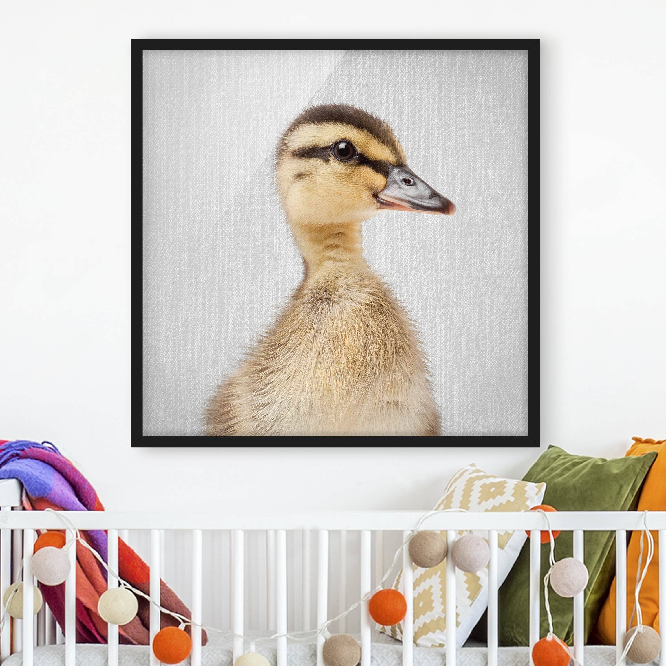 Bild mit Rahmen Baby Ente Eddie