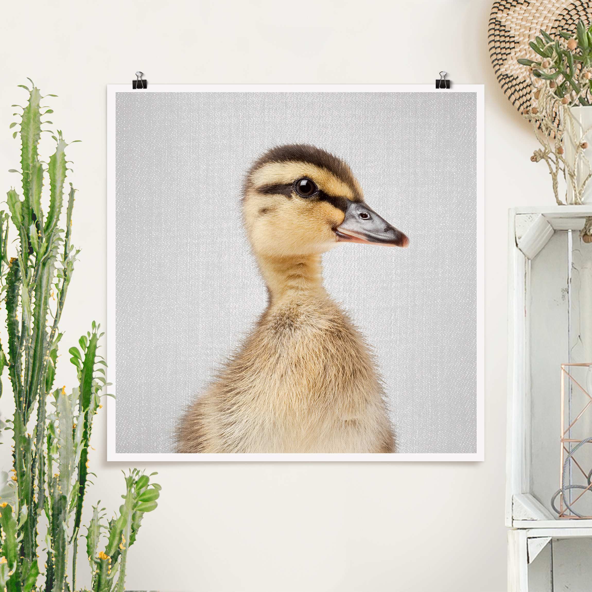 Poster Baby Ente Eddie