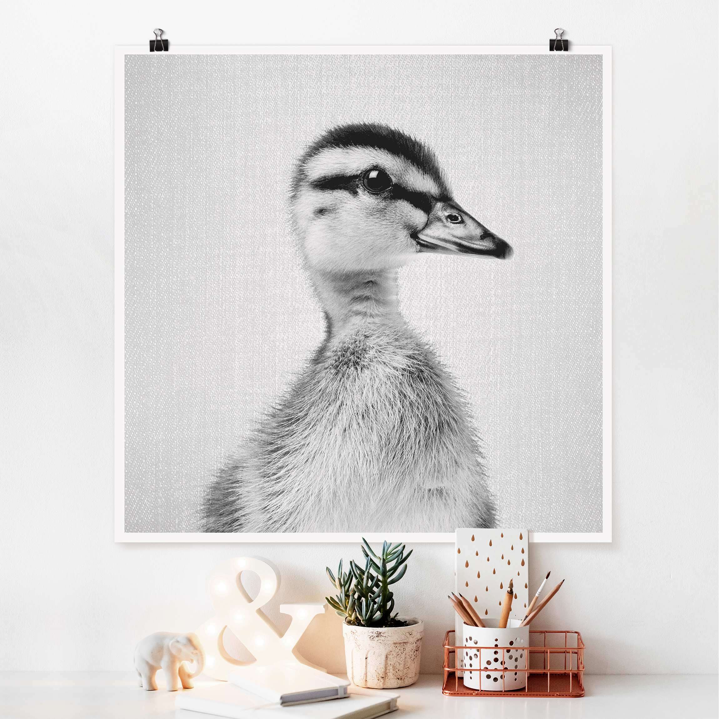 Poster Baby Ente Eddie Schwarz Weiß