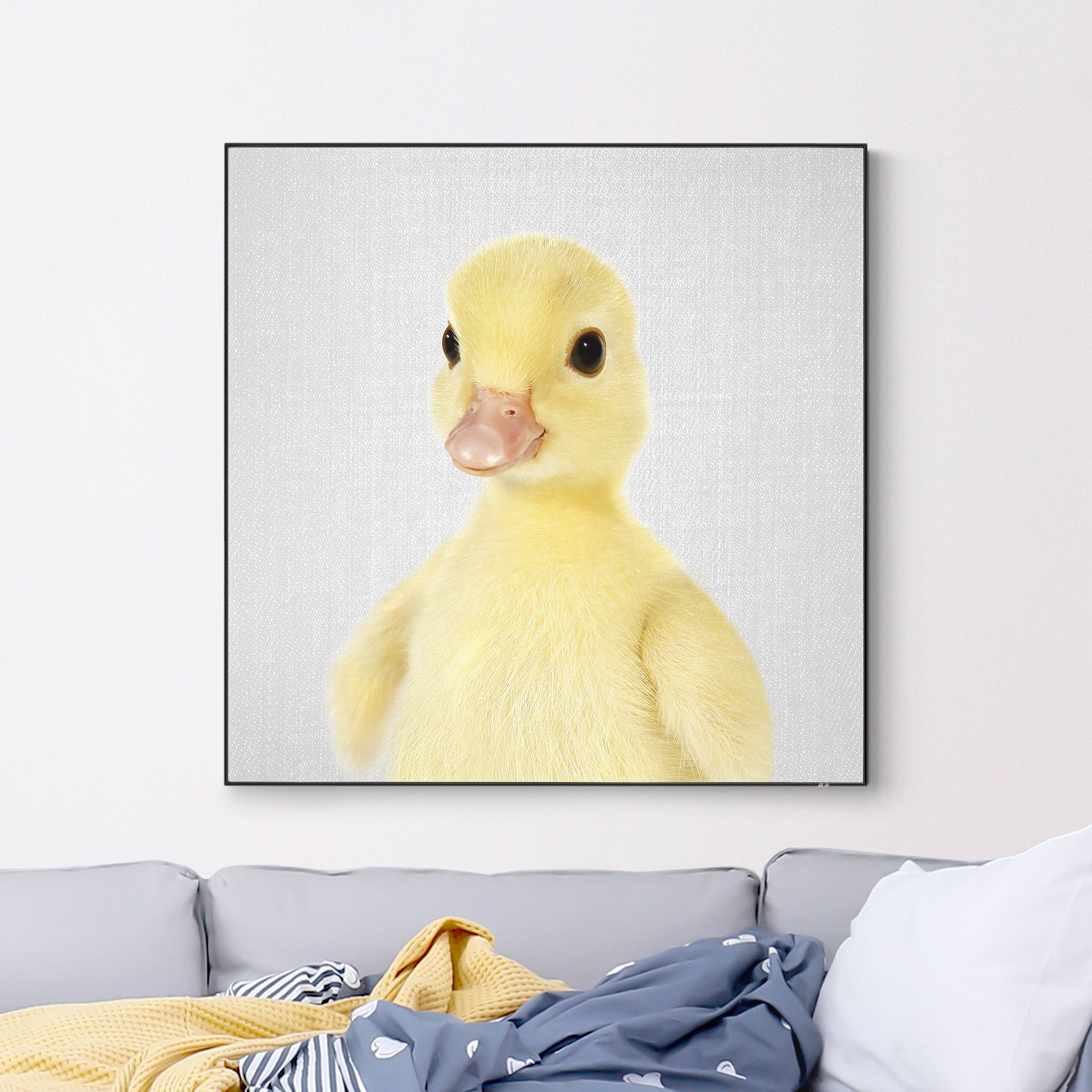 Wechselbild Baby Ente Emma