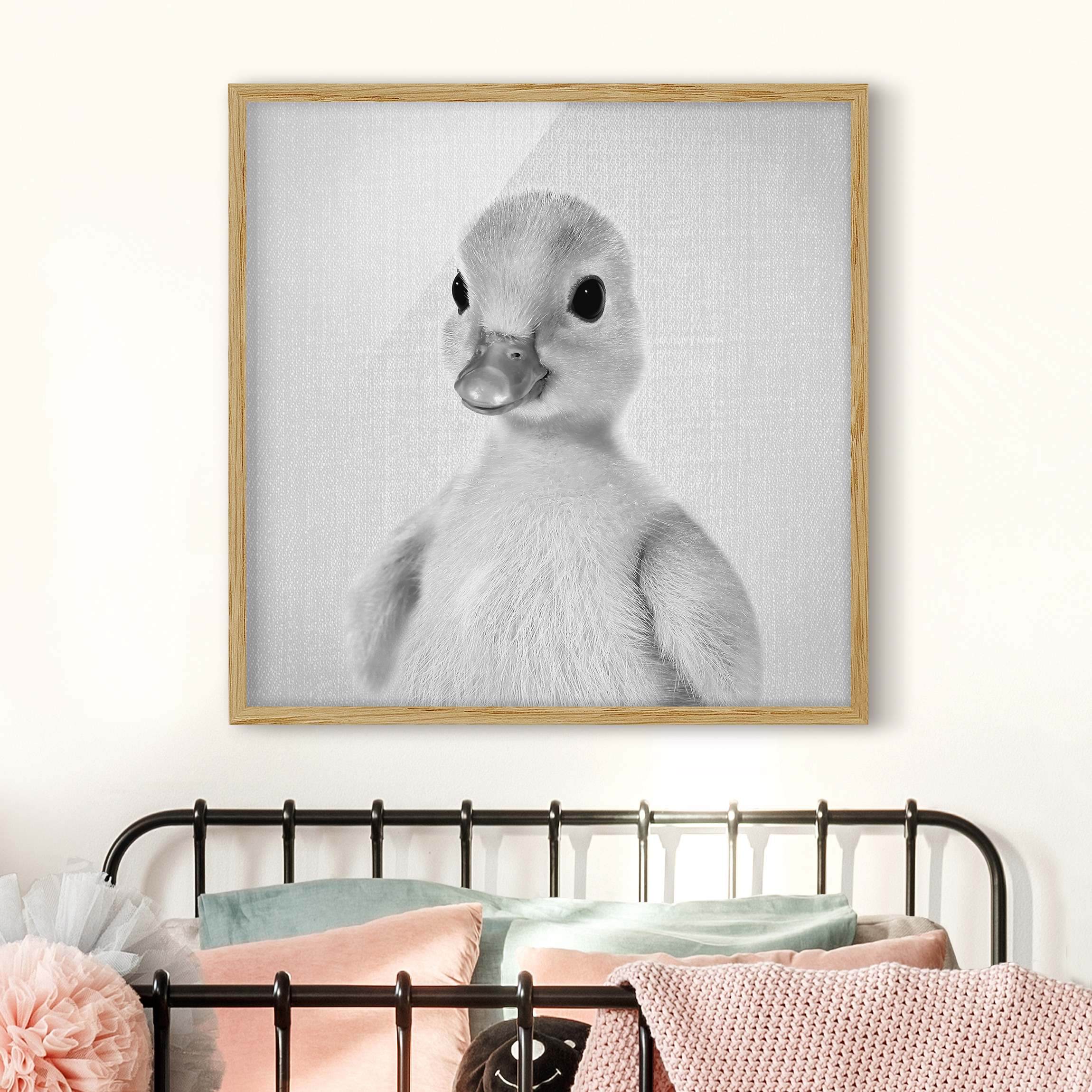 Bild mit Rahmen Baby Ente Emma Schwarz Weiß