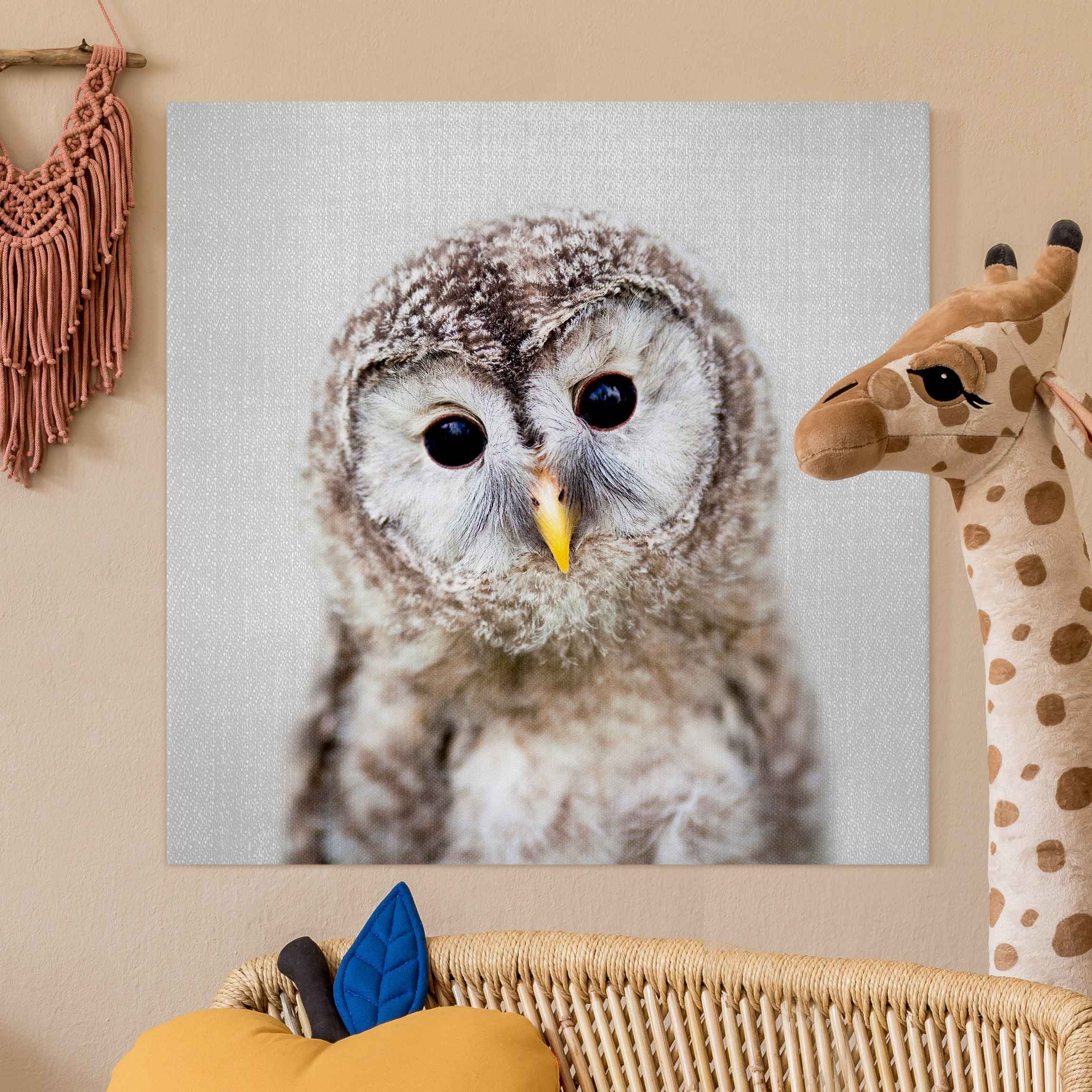 Leinwandbild Baby Eule Erika