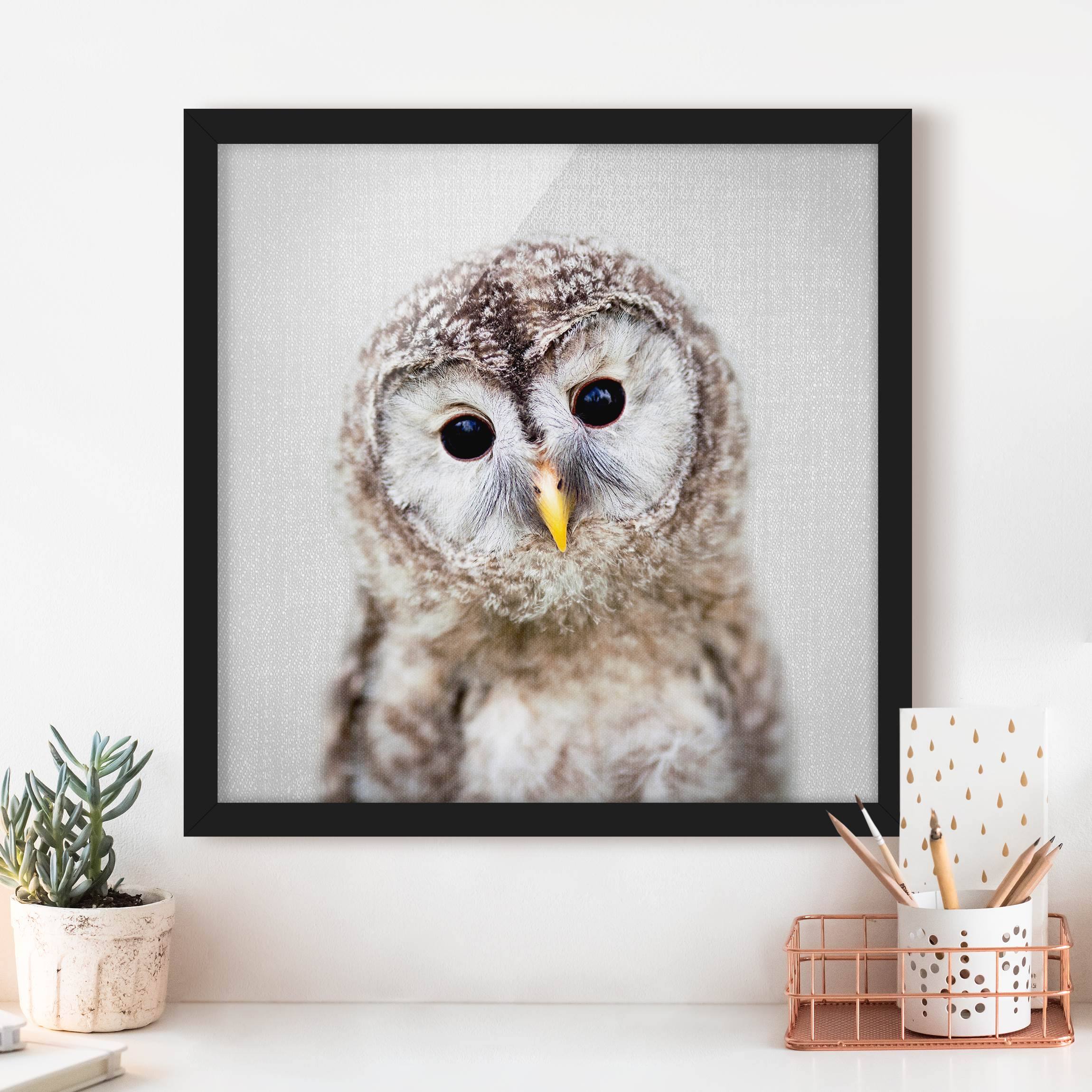 Bild mit Rahmen Baby Eule Erika
