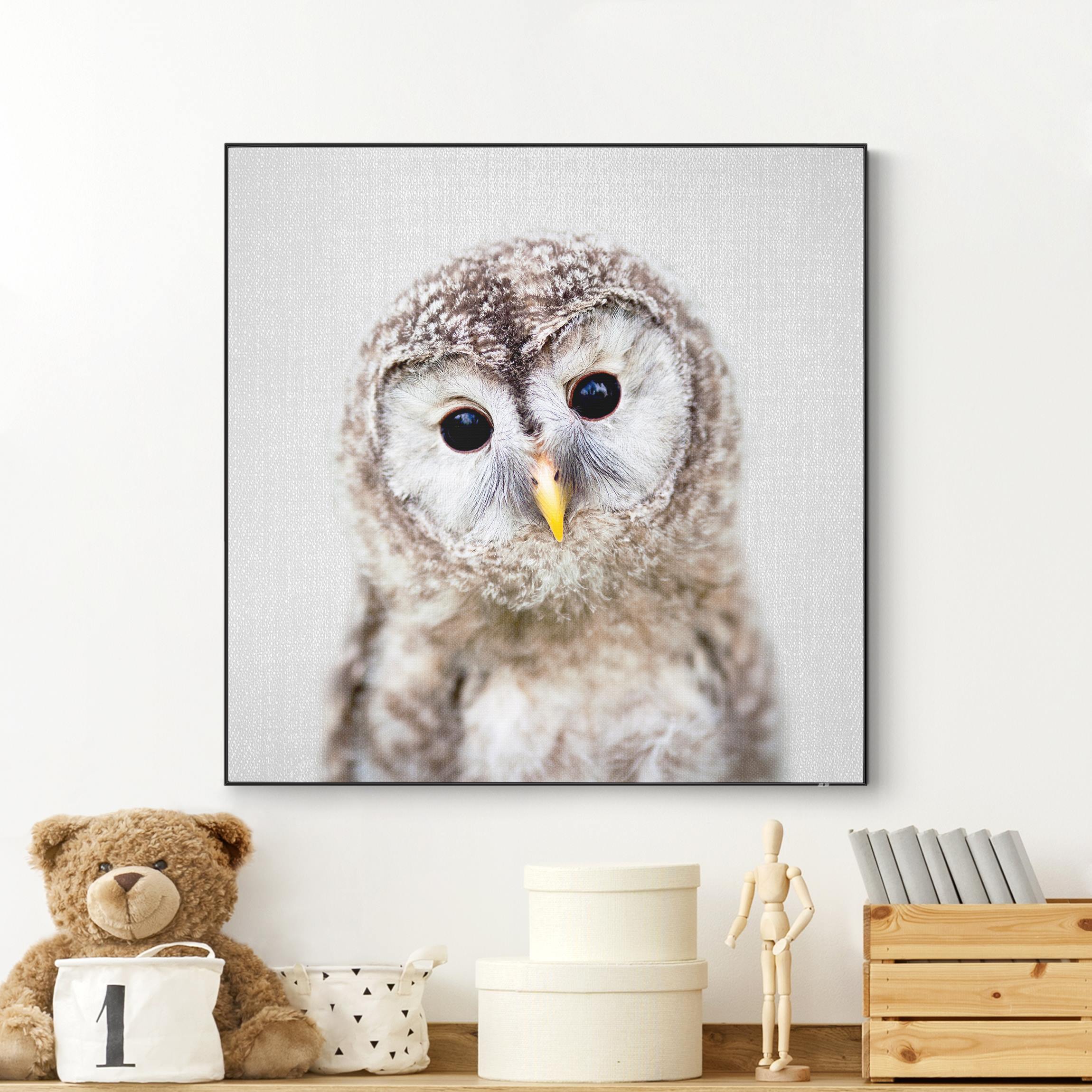 Wechselbild Baby Eule Erika