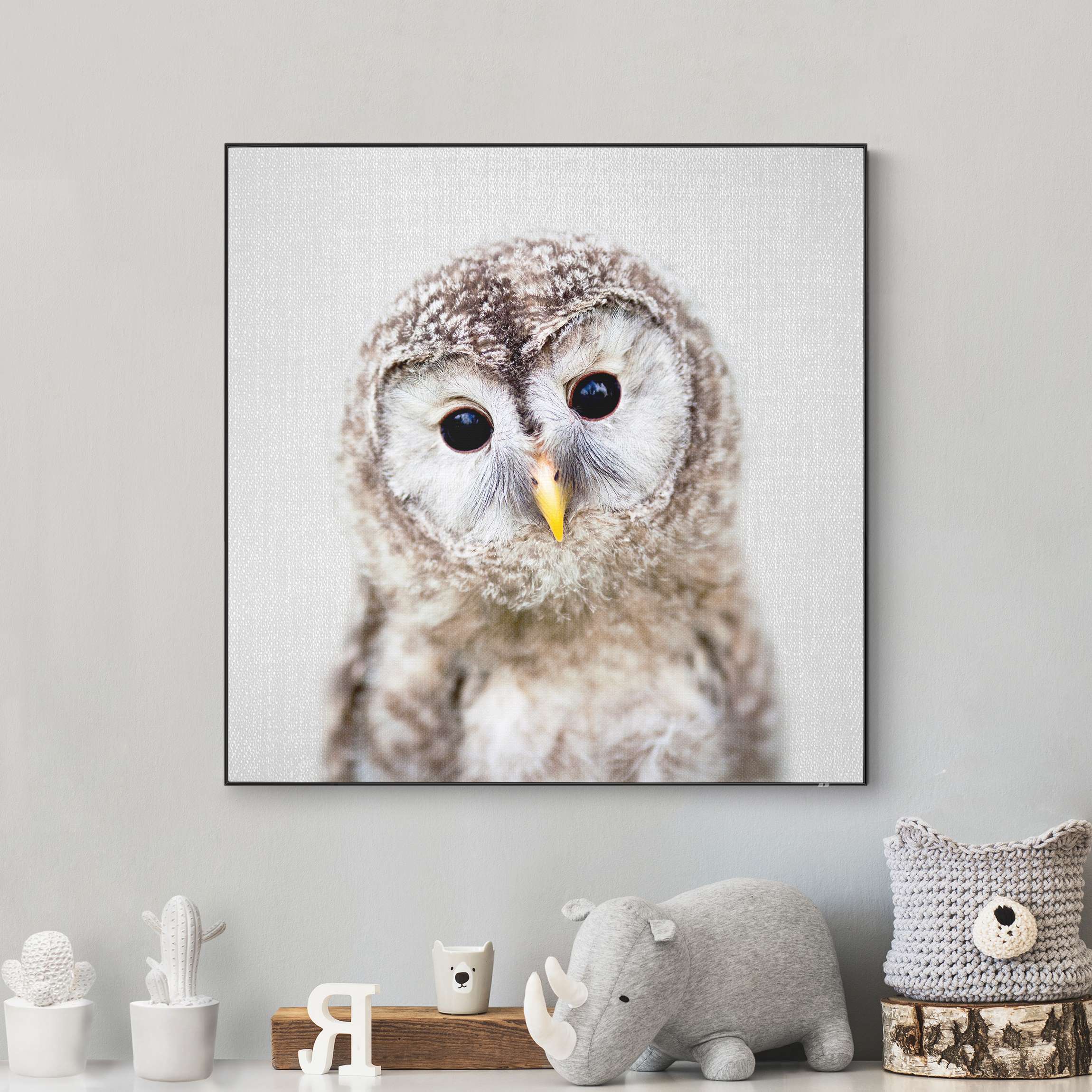 Wechselbild Baby Eule Erika