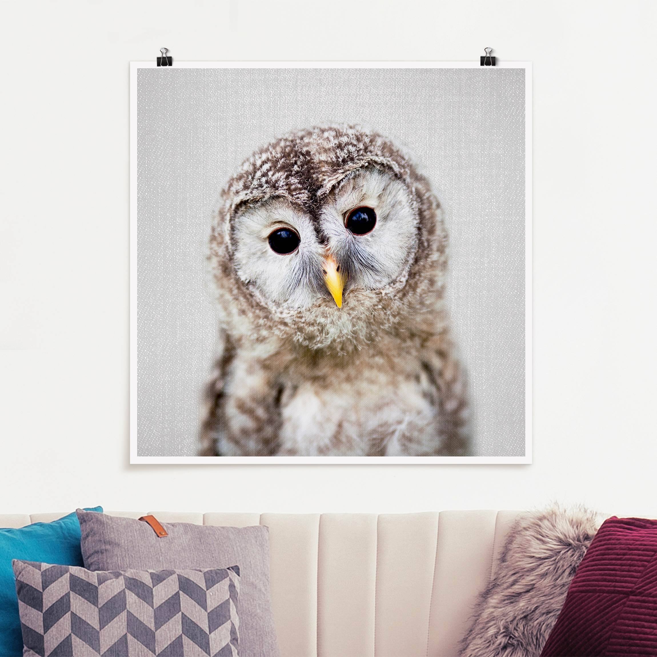 Poster Baby Eule Erika