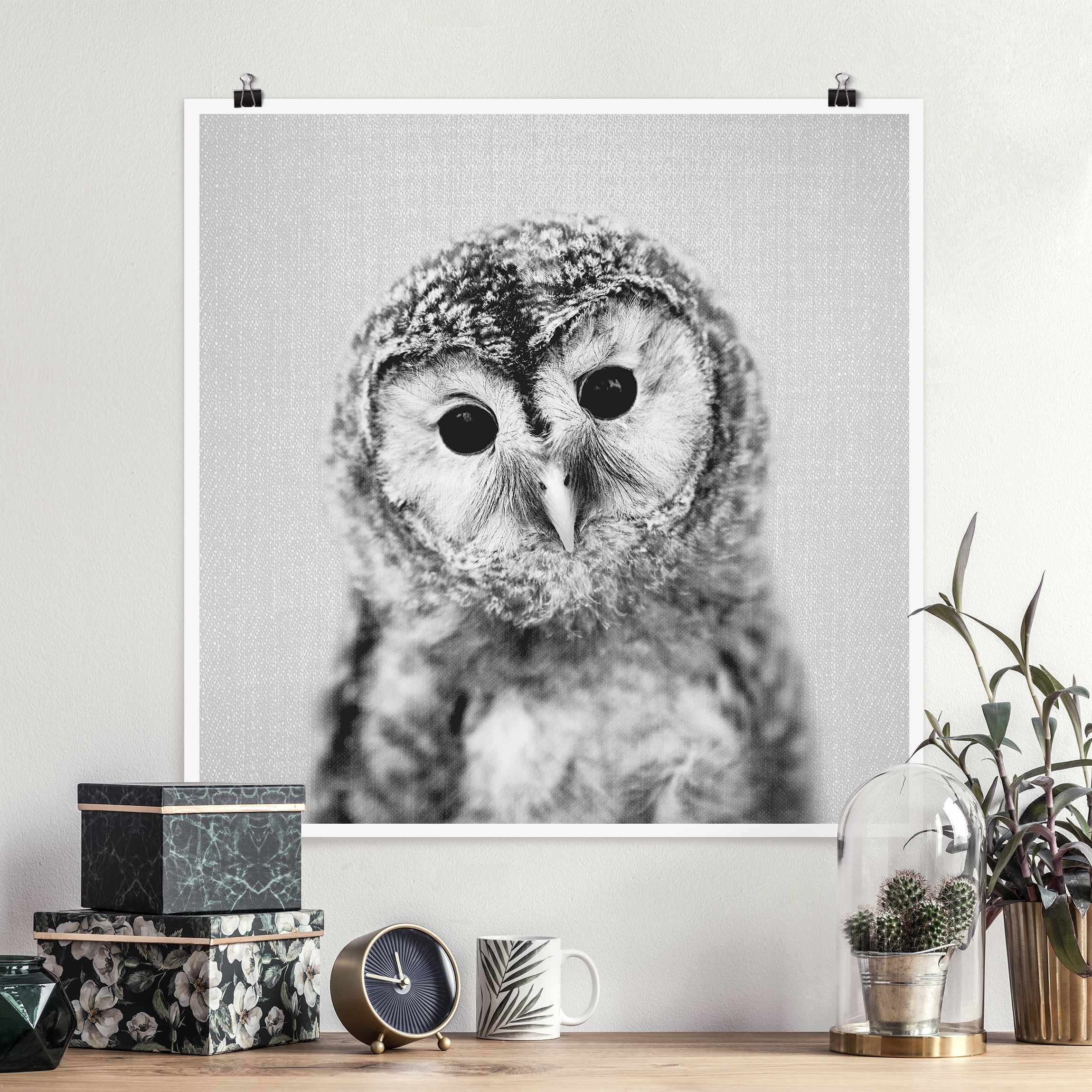 Poster Baby Eule Erika Schwarz Weiß