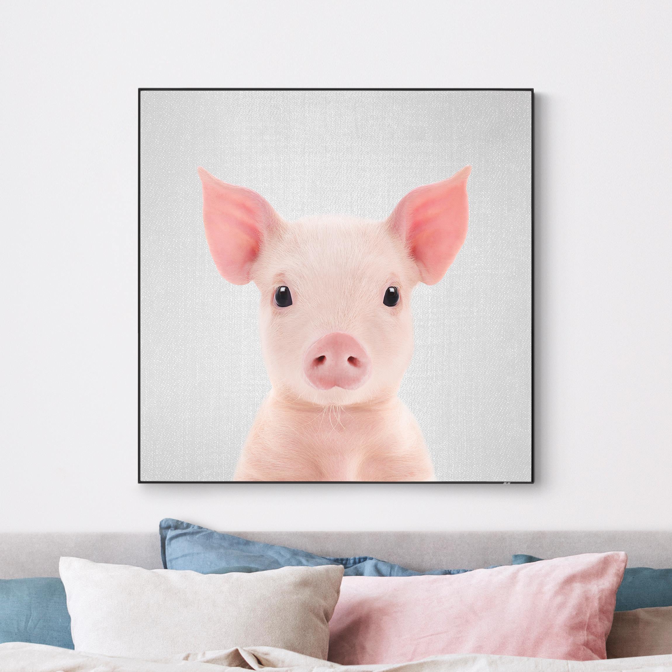 Wechselbild Baby Ferkel Fips