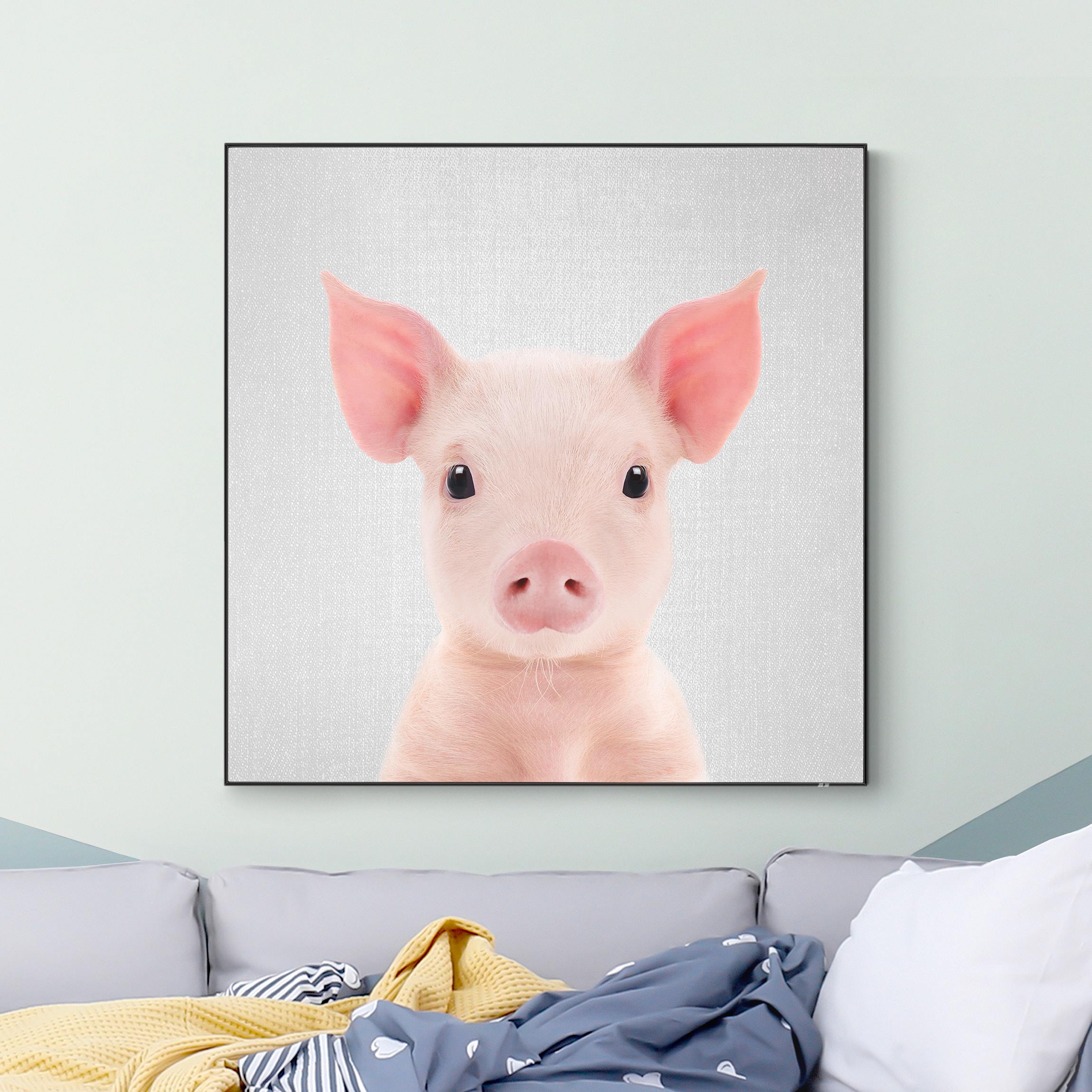 Wechselbild Baby Ferkel Fips