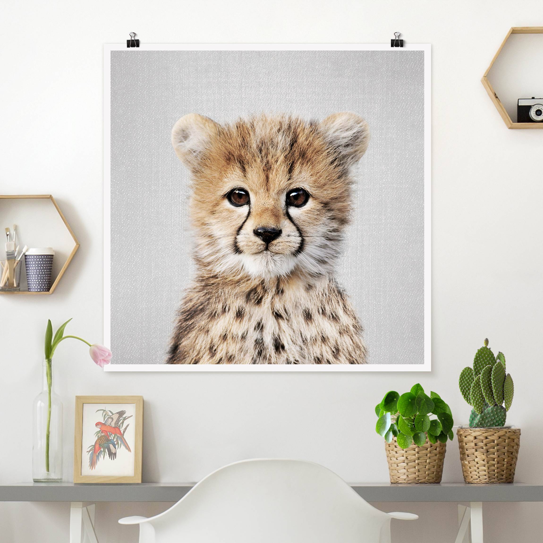 Poster Baby Gepard Gino
