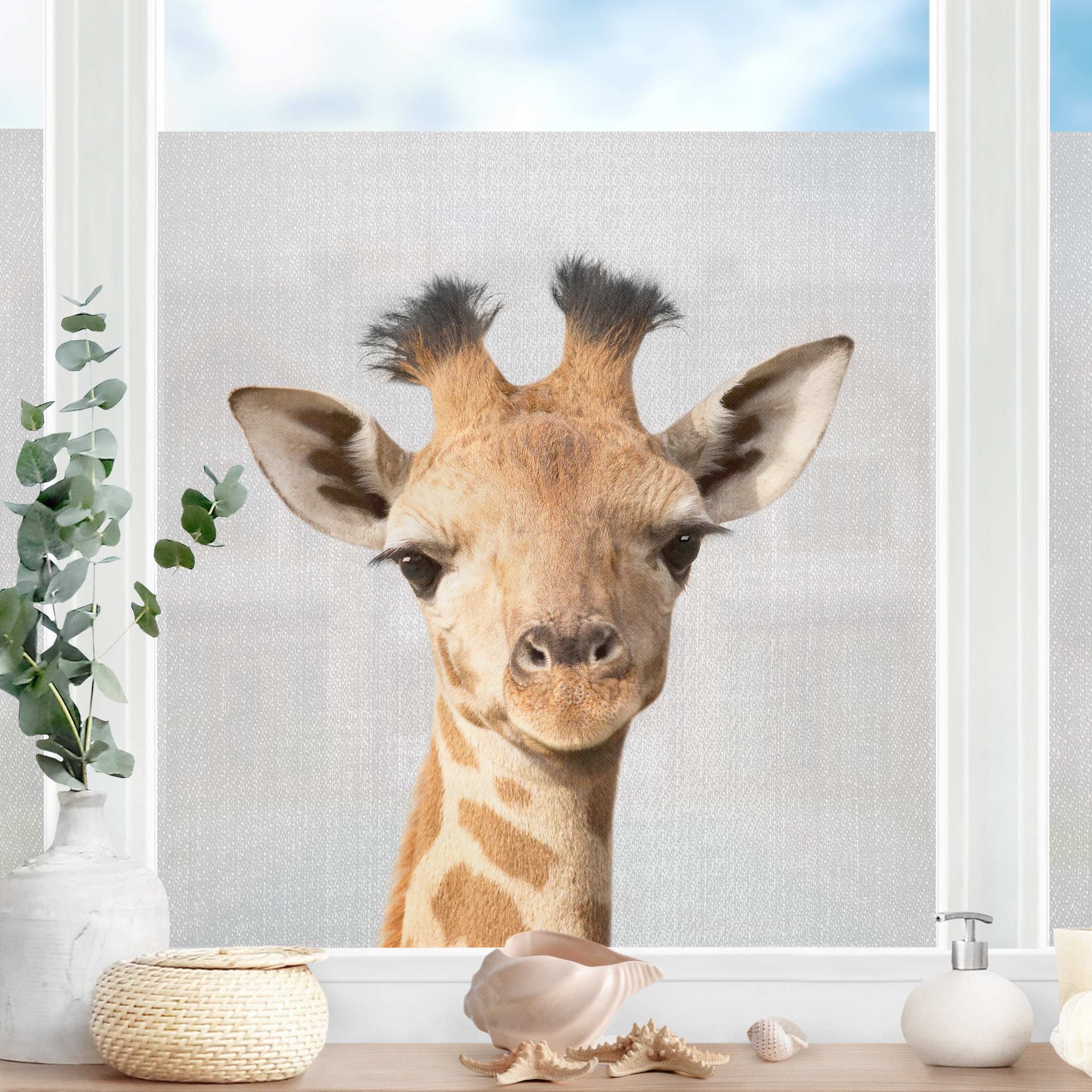 Fensterfolie Baby Giraffe Gandalf