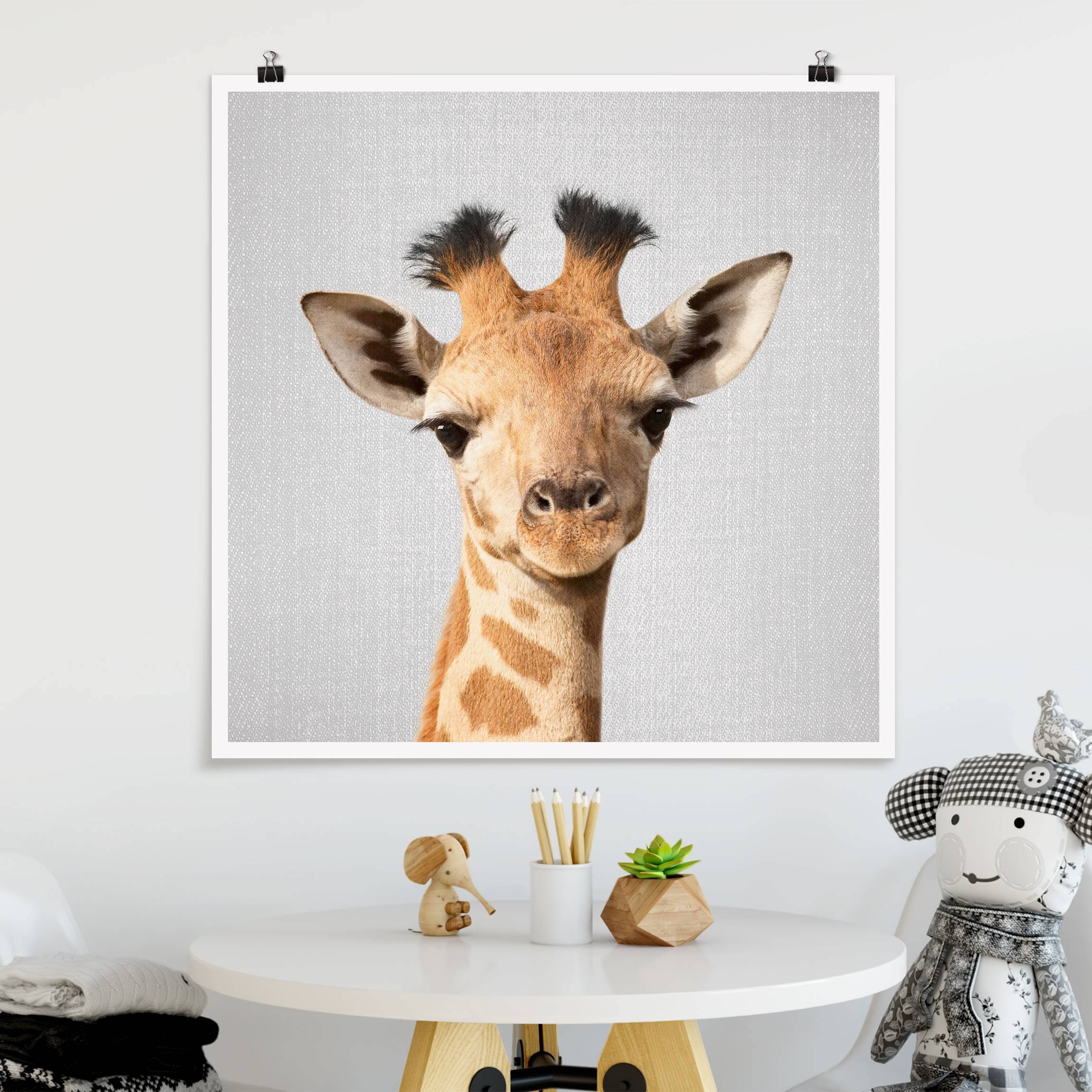 Poster Baby Giraffe Gandalf