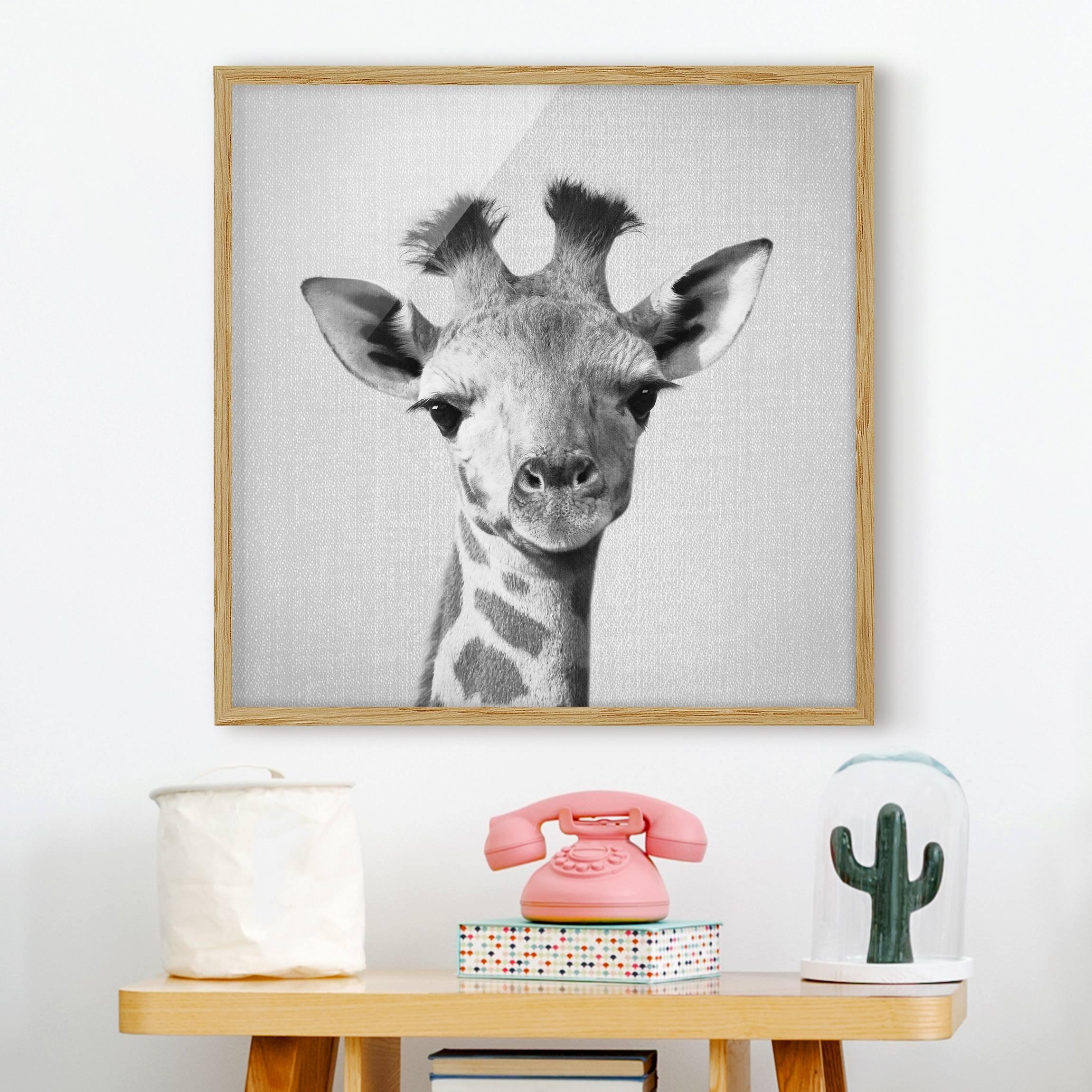Bild mit Rahmen Baby Giraffe Gandalf Schwarz Weiß
