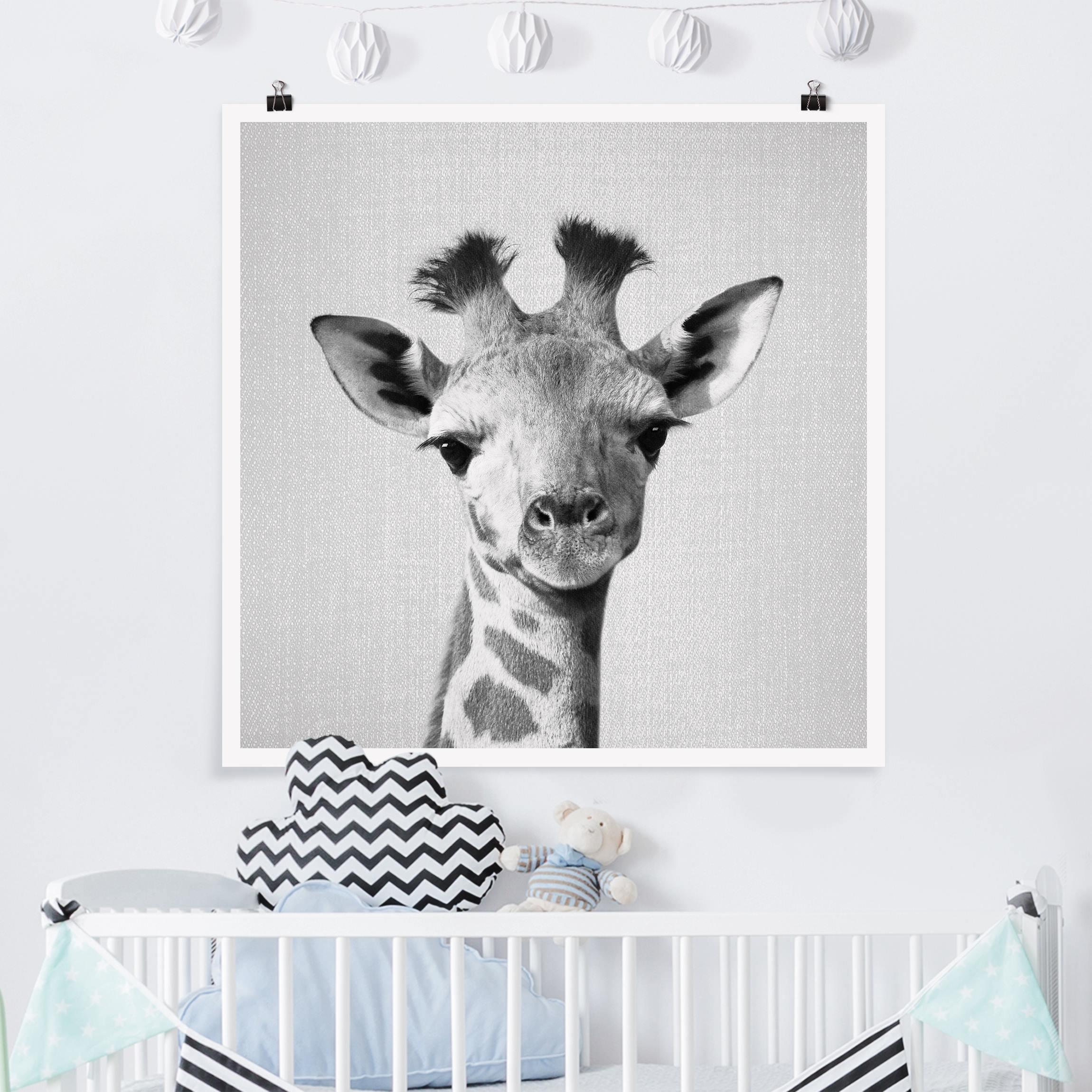 Poster Baby Giraffe Gandalf Schwarz Weiß
