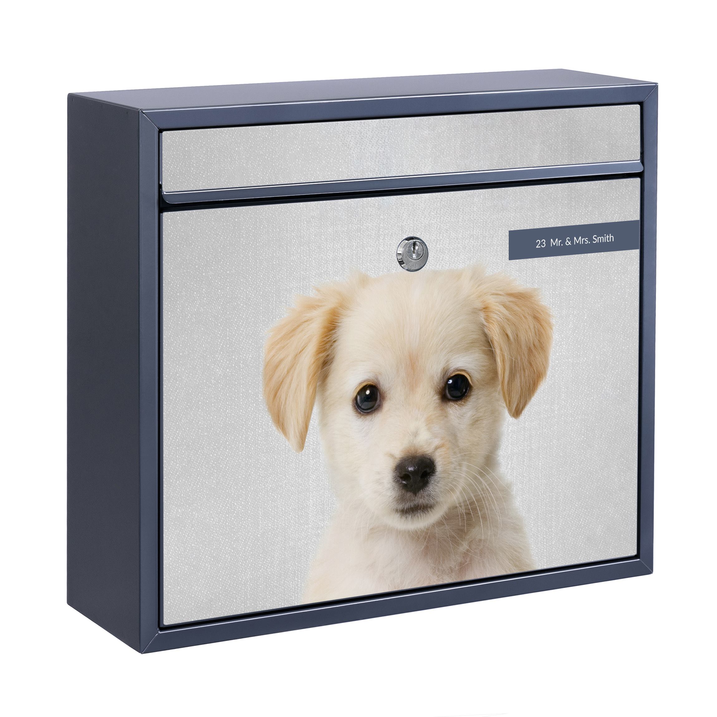 Briefkasten mit eigenem Text Baby Golden Retriever Gizmo