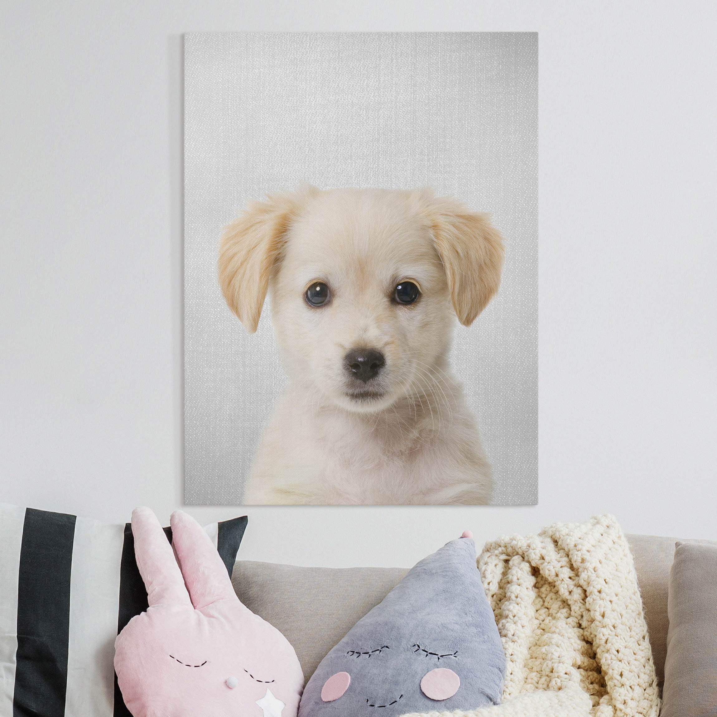 Leinwandbild Baby Golden Retriever Gizmo