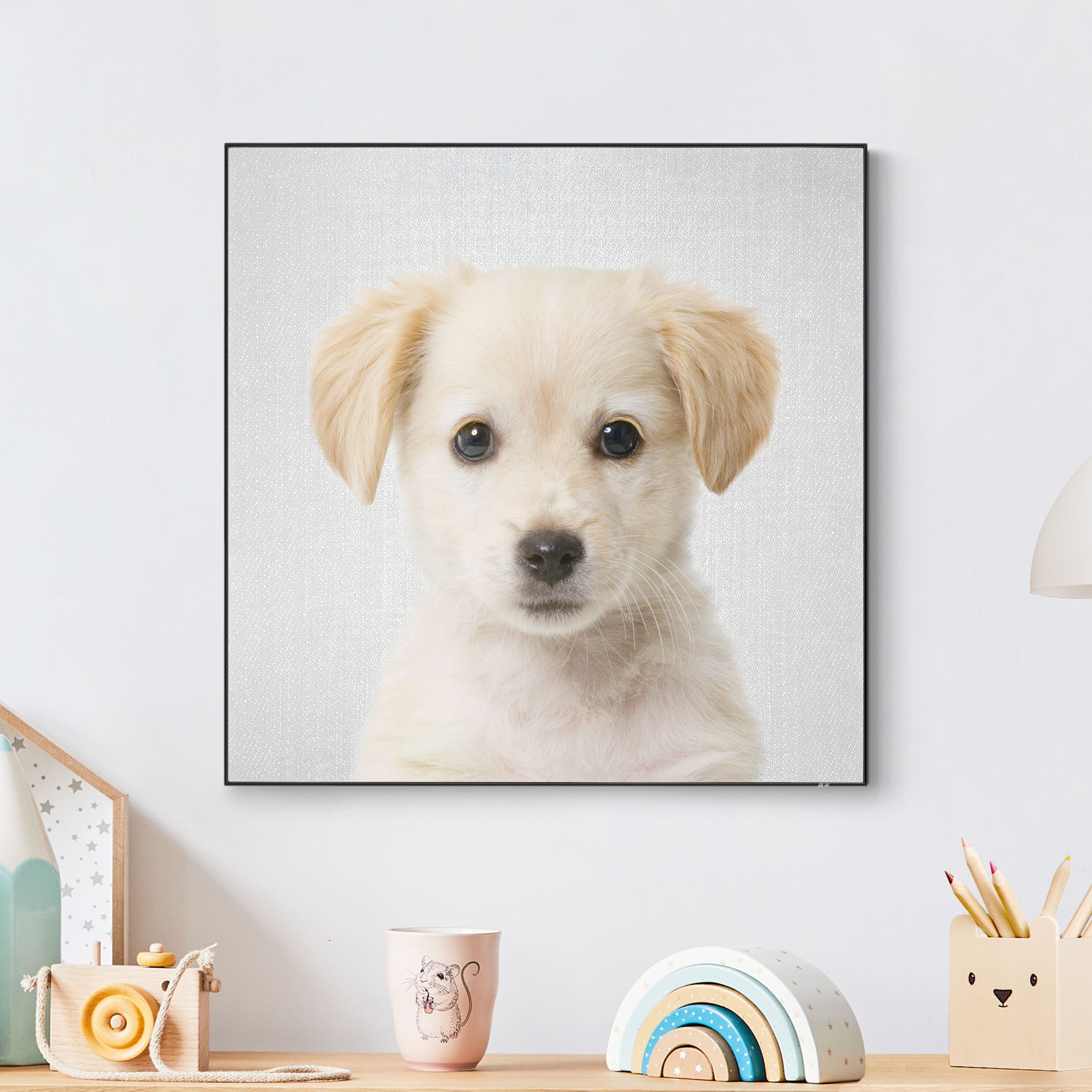 Wechselbild Baby Golden Retriever Gizmo