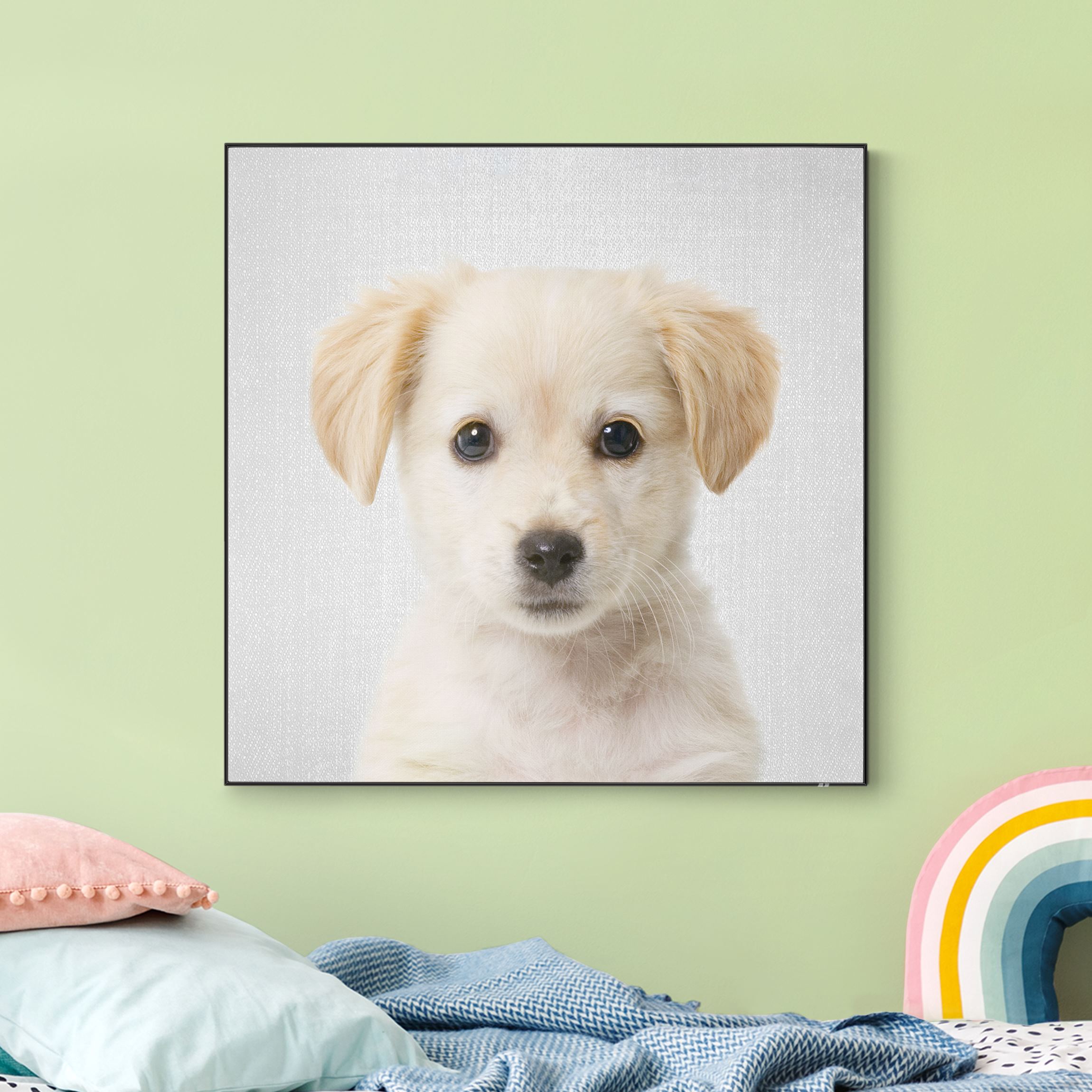 Wechselbild Baby Golden Retriever Gizmo