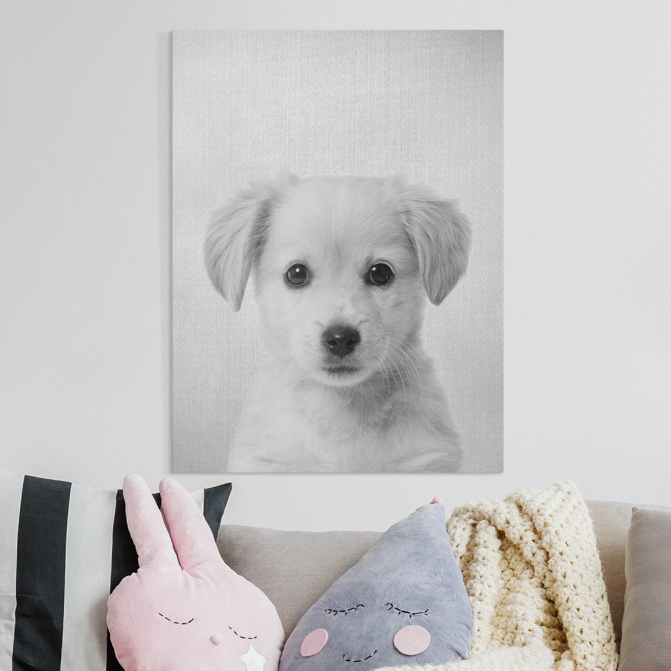 Leinwandbild Baby Golden Retriever Gizmo Schwarz Weiß