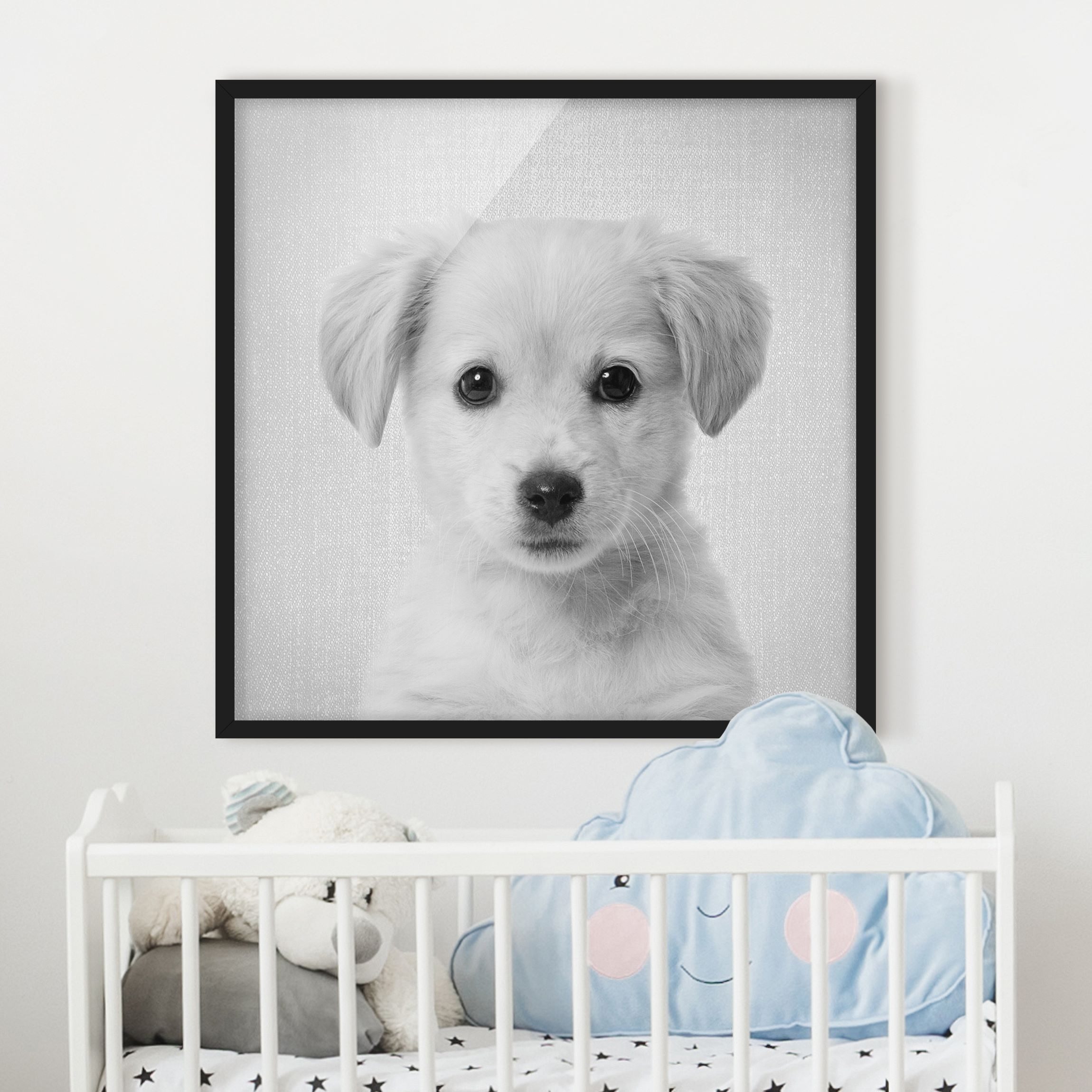 Bild mit Rahmen Baby Golden Retriever Gizmo Schwarz Weiß