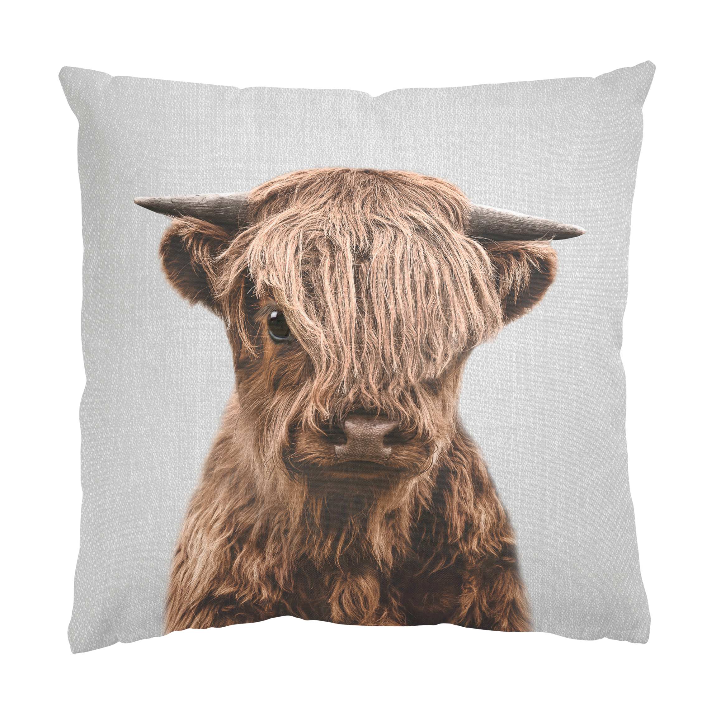 Dekokissen Baby Hochlandrind Henri