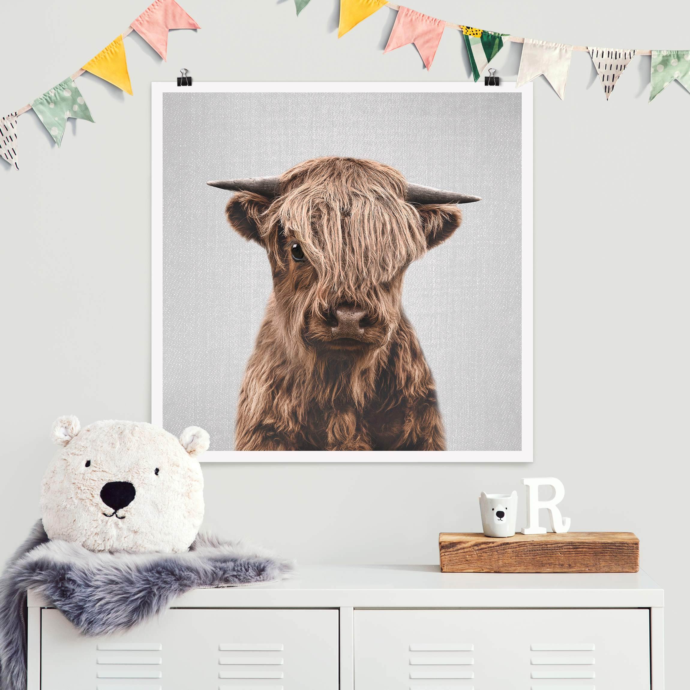 Poster Baby Hochlandrind Henri
