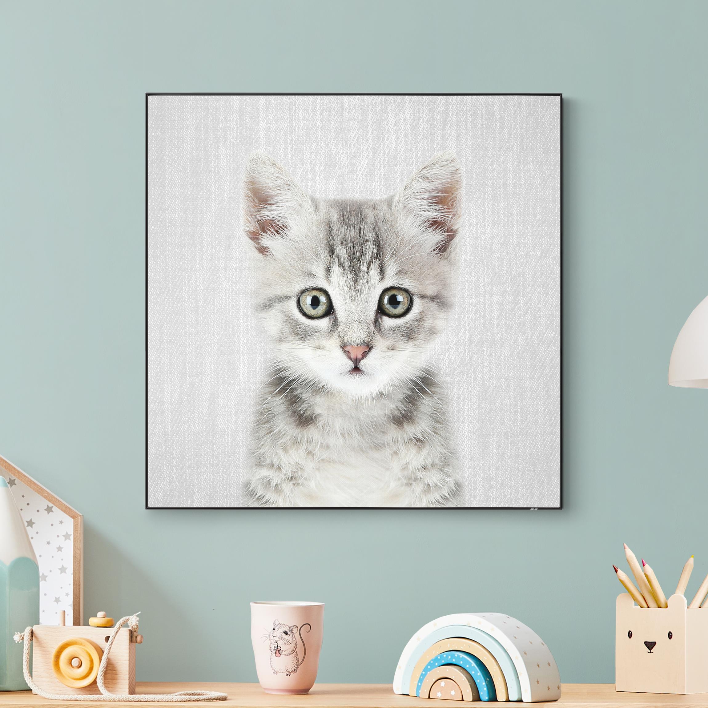 Wechselbild Baby Katze Killi