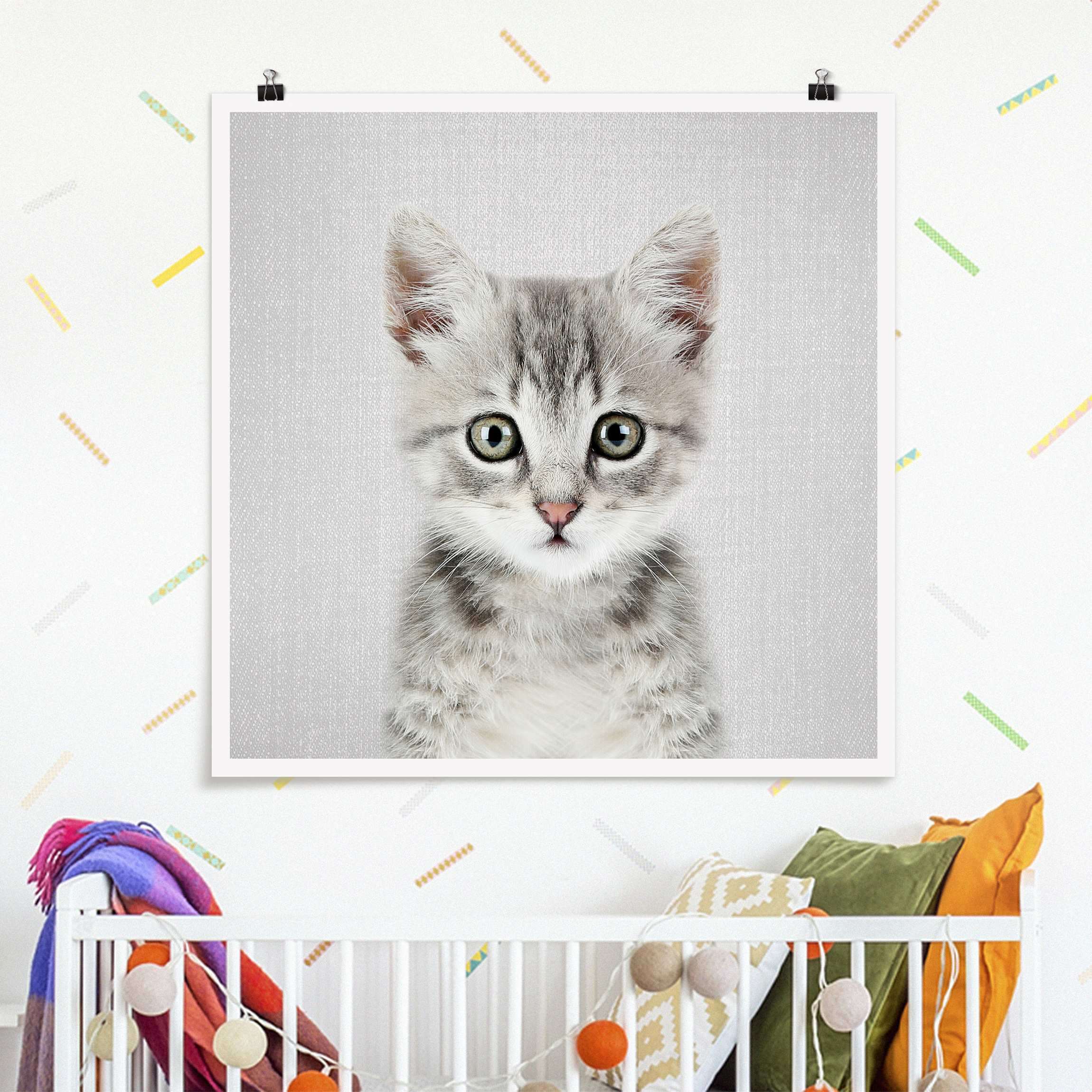 Poster Baby Katze Killi