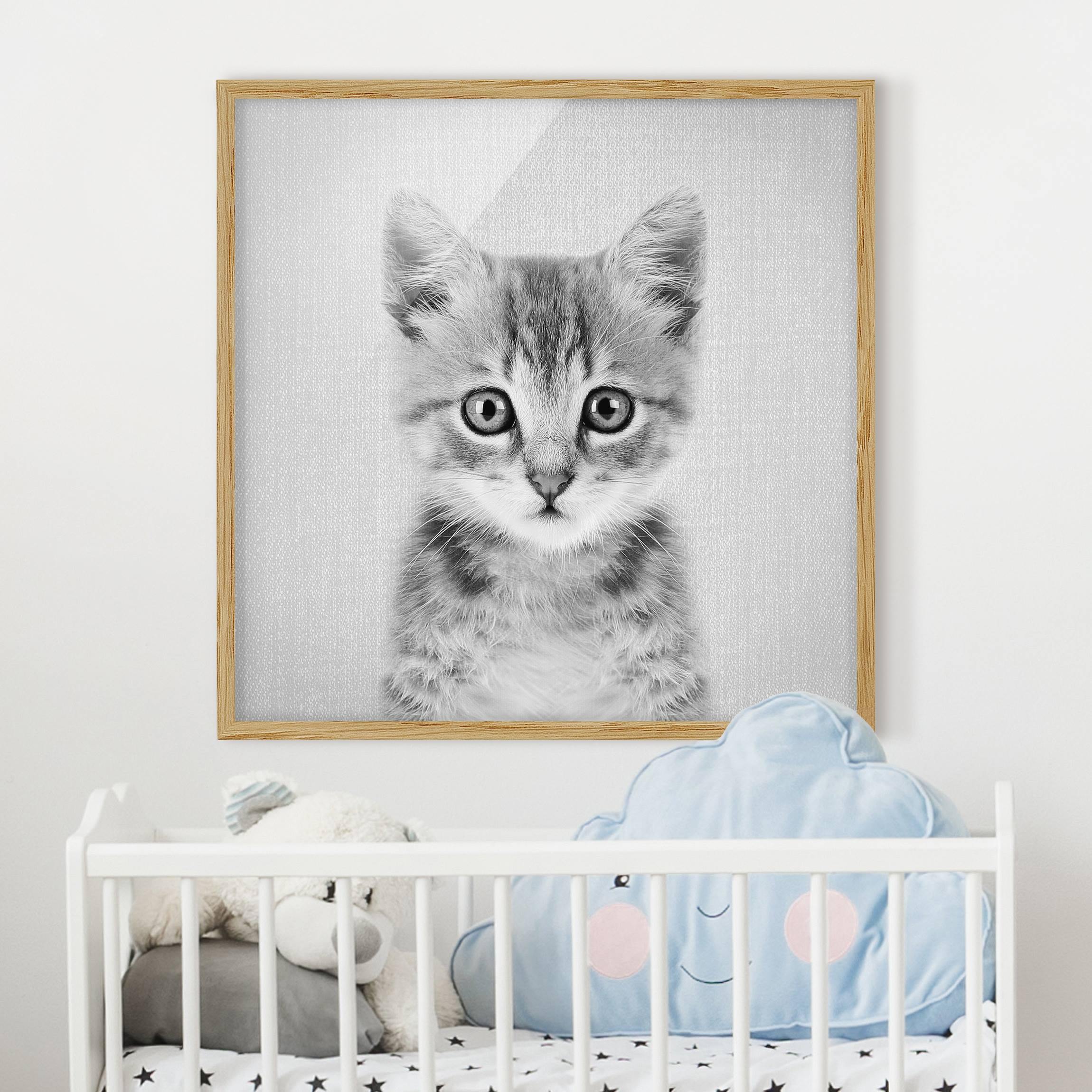 Bild mit Rahmen Baby Katze Killi Schwarz Weiß